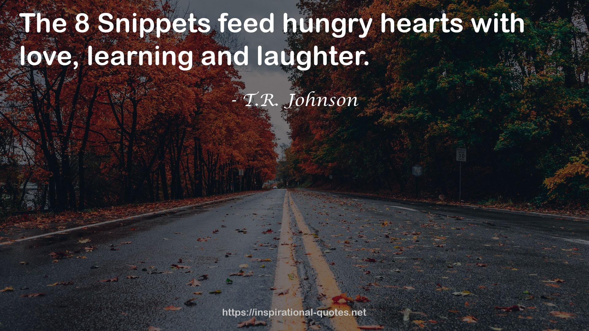 T.R. Johnson QUOTES