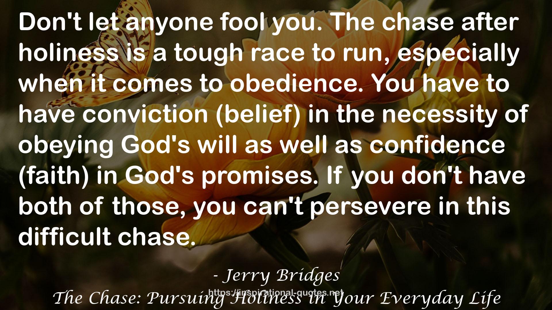 The Chase: Pursuing Holiness in Your Everyday Life QUOTES