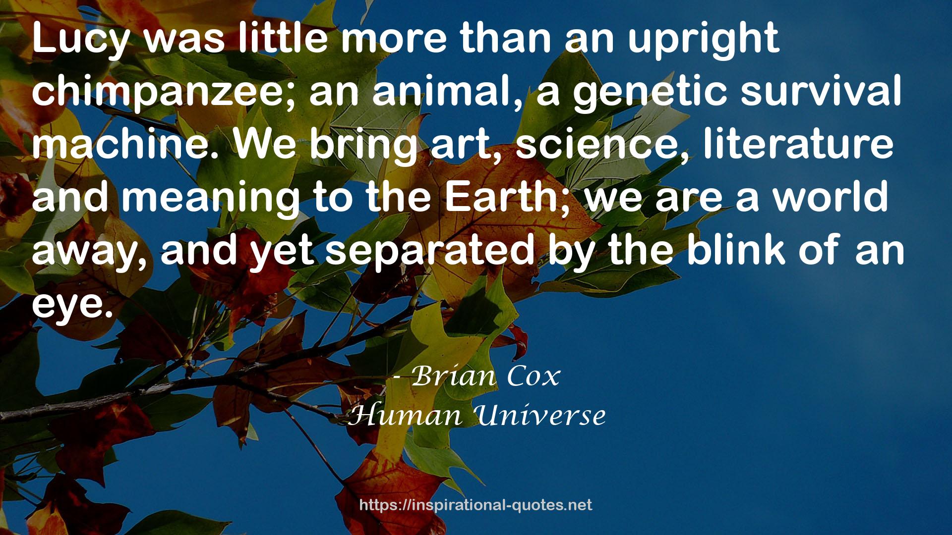 Brian Cox QUOTES