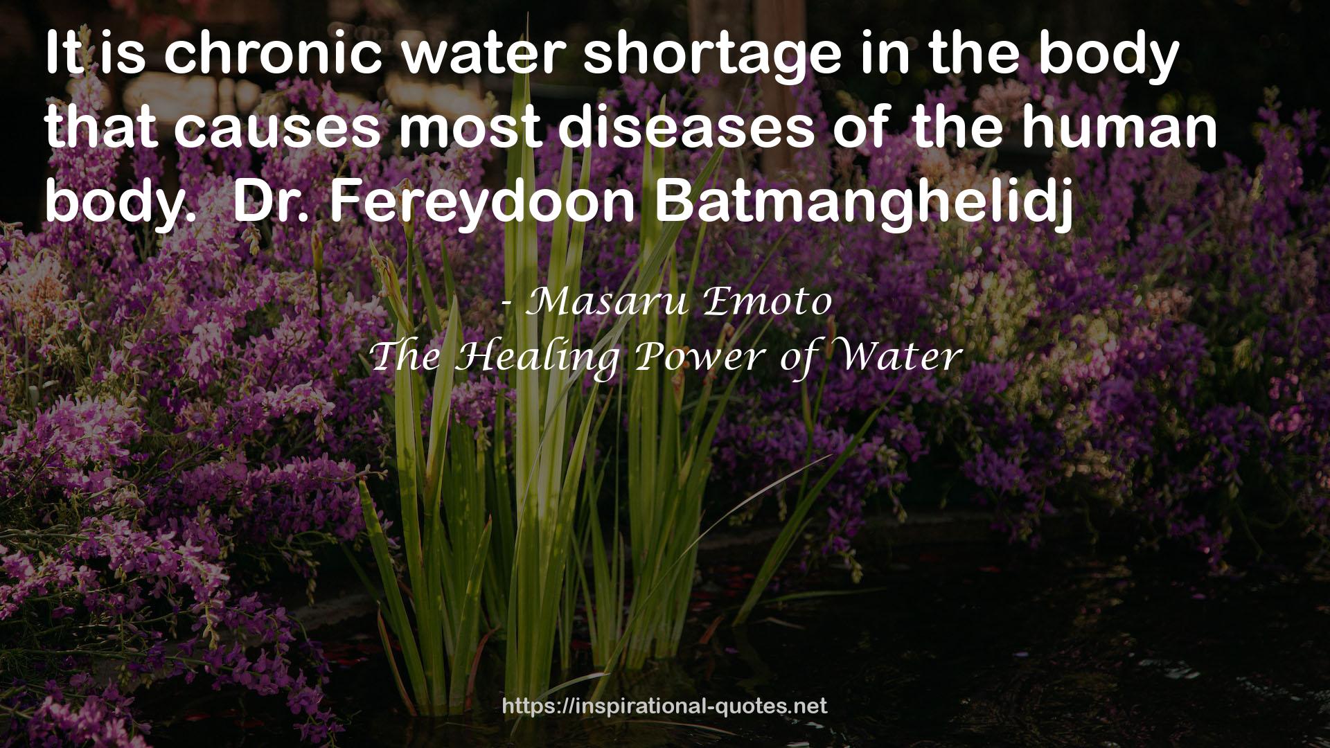 The Healing Power of Water QUOTES