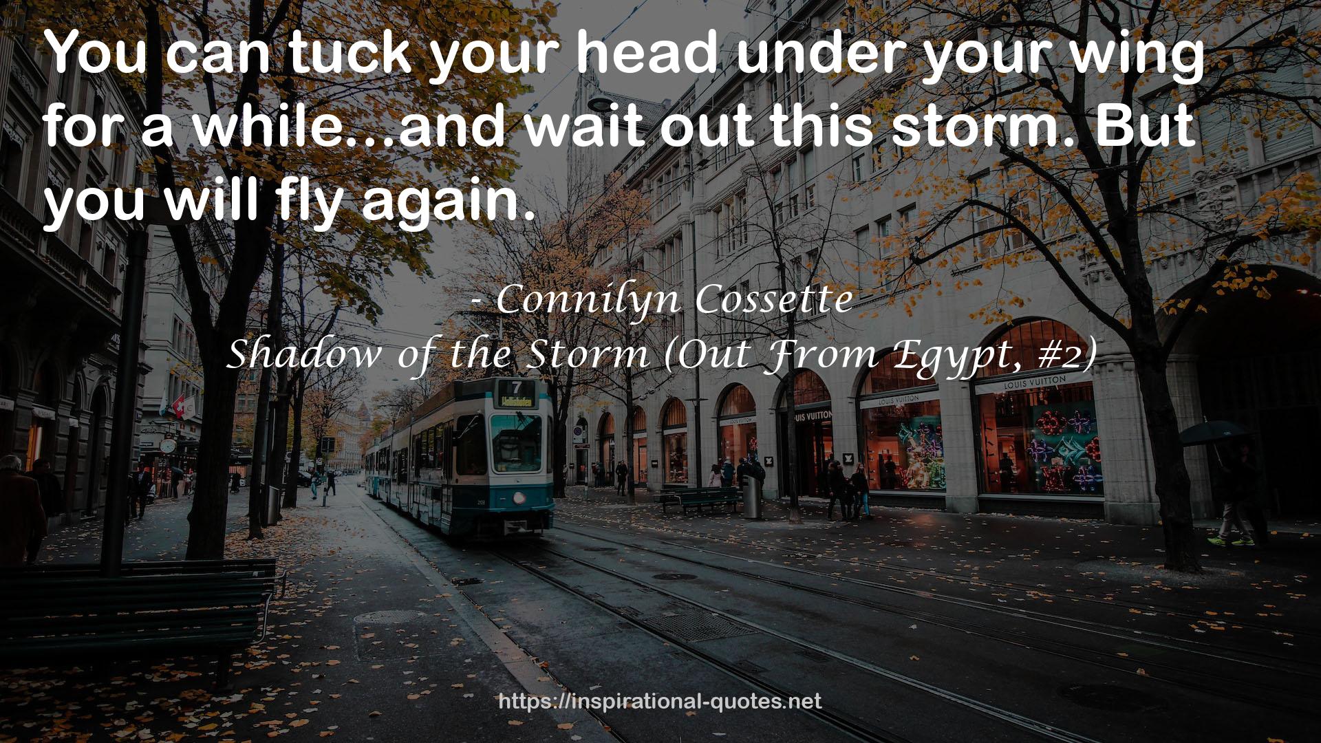 Shadow of the Storm (Out From Egypt, #2) QUOTES