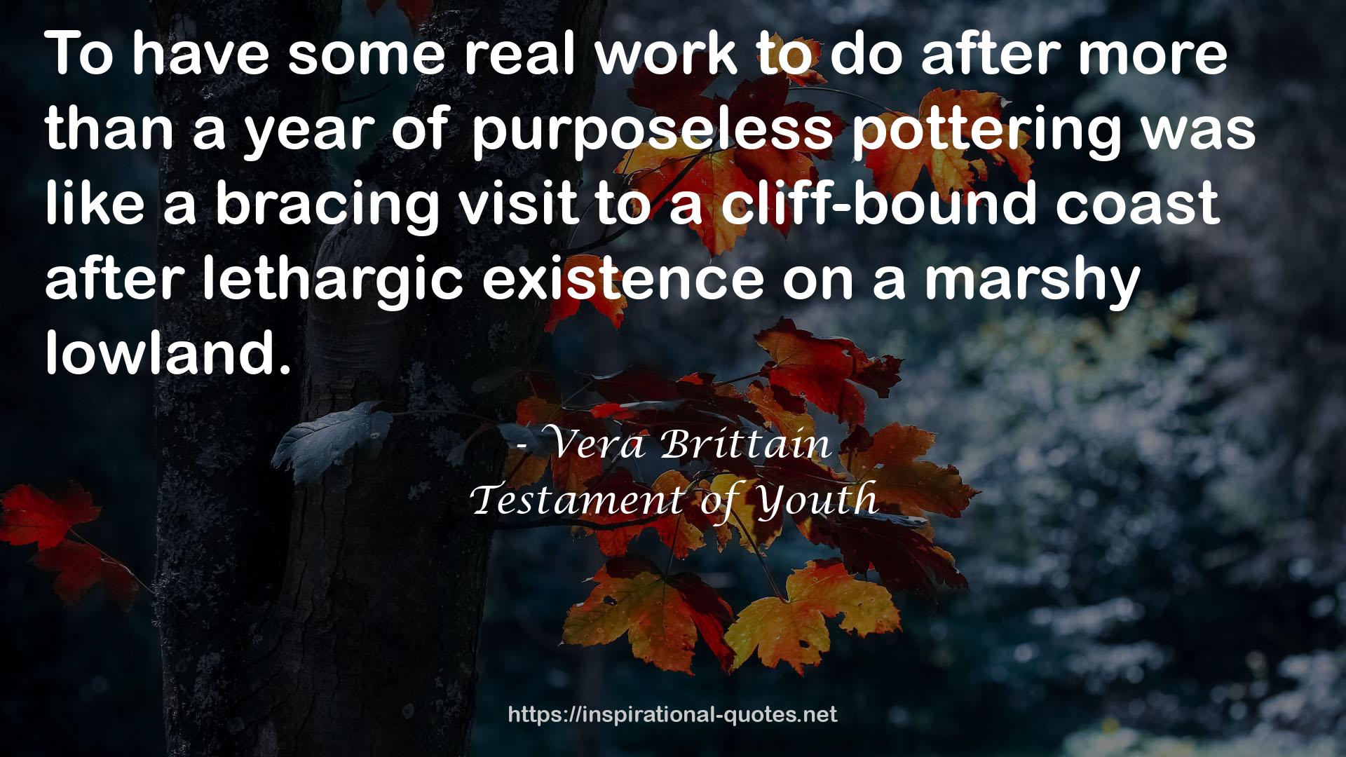 Testament of Youth QUOTES