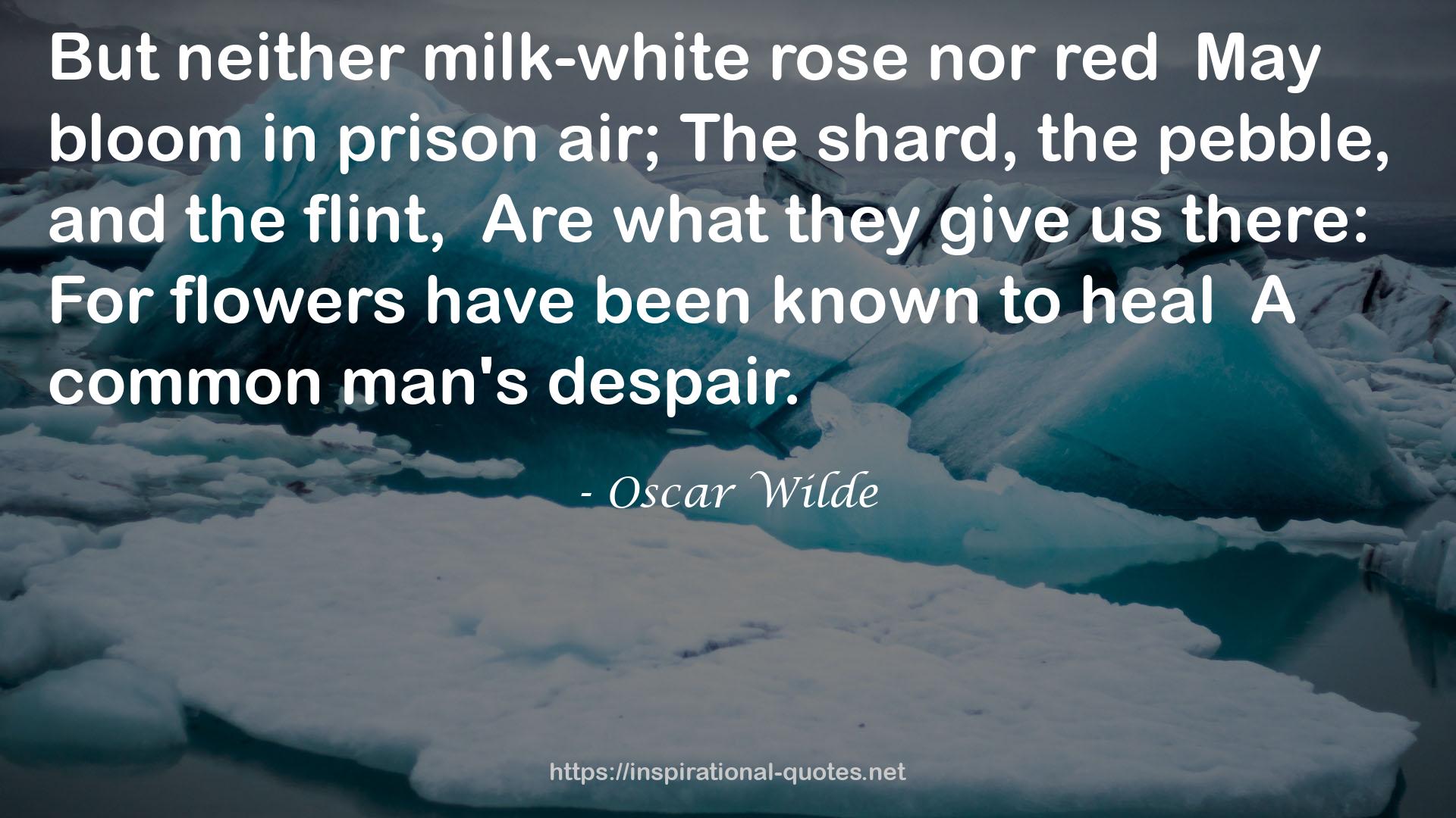 neither milk-white rose  QUOTES