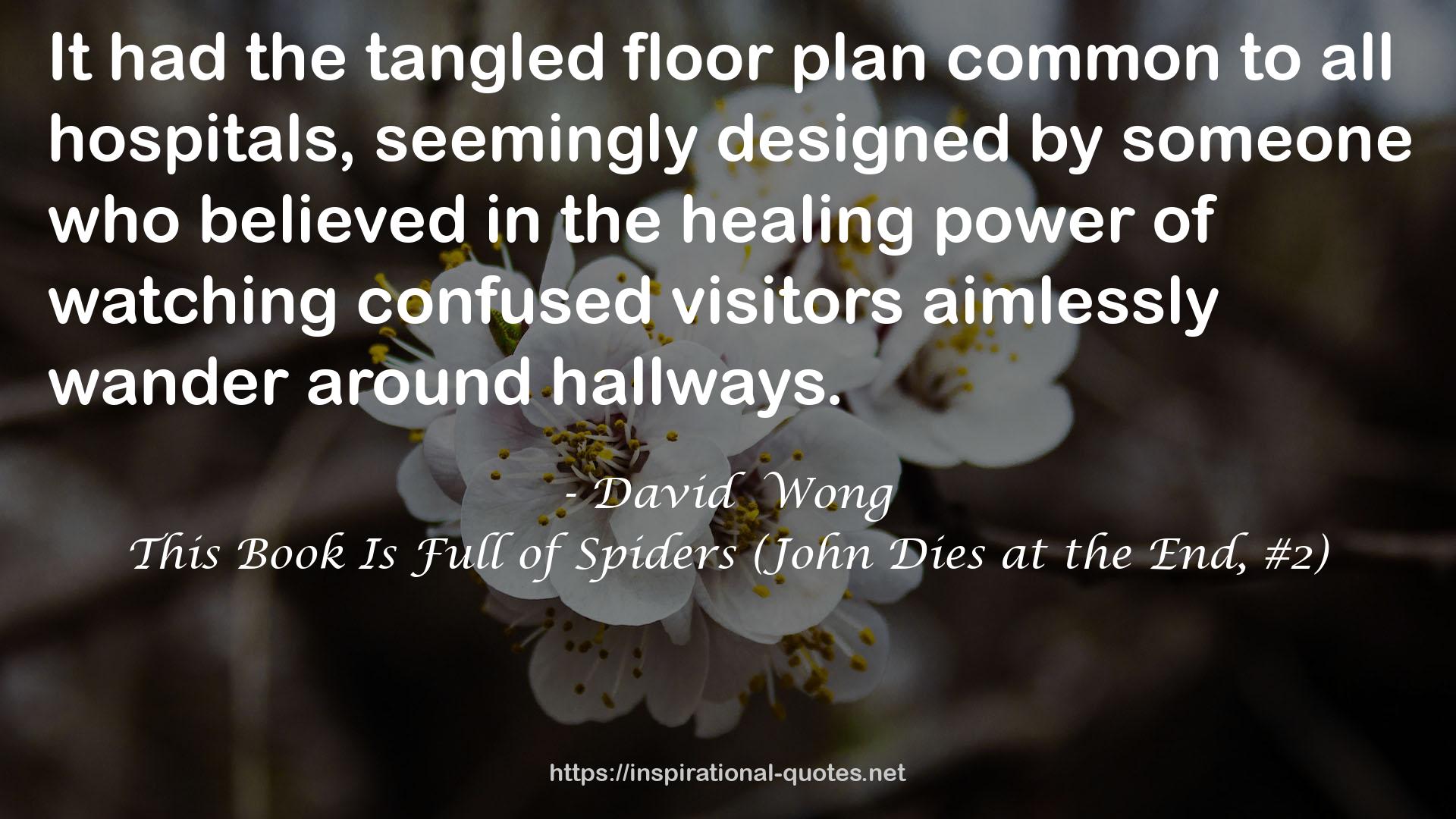 the tangled floor plan  QUOTES