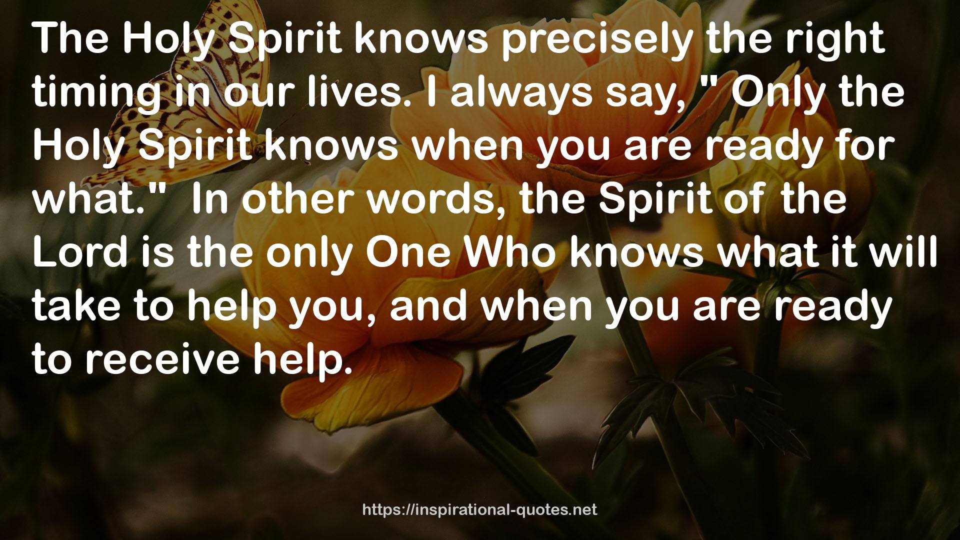 Only the Holy Spirit  QUOTES