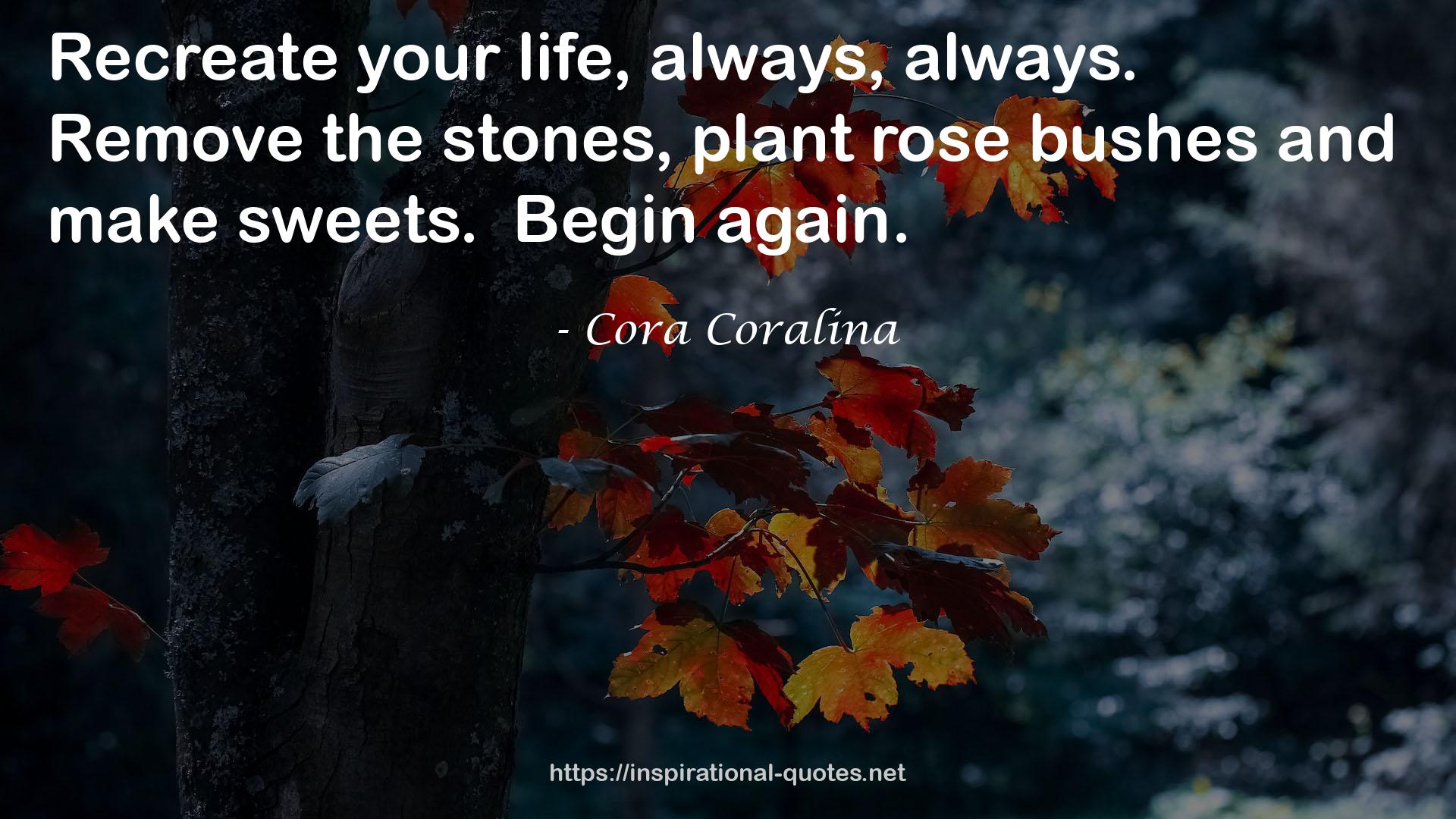 Cora Coralina QUOTES