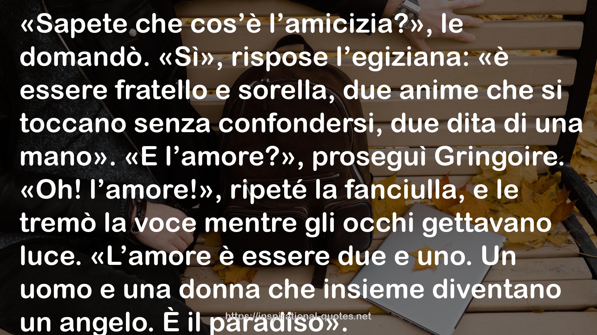 I magnifici 7 capolavori della letteratura francese QUOTES