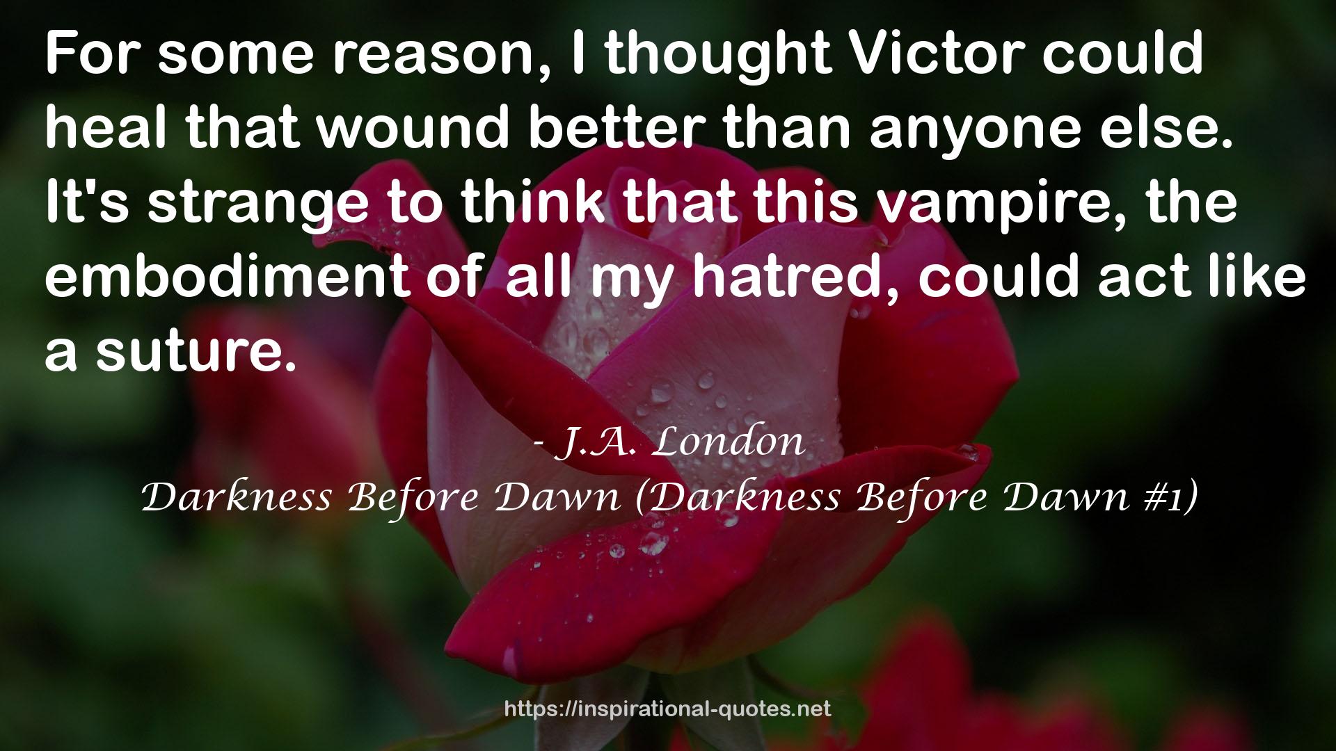 Darkness Before Dawn (Darkness Before Dawn #1) QUOTES