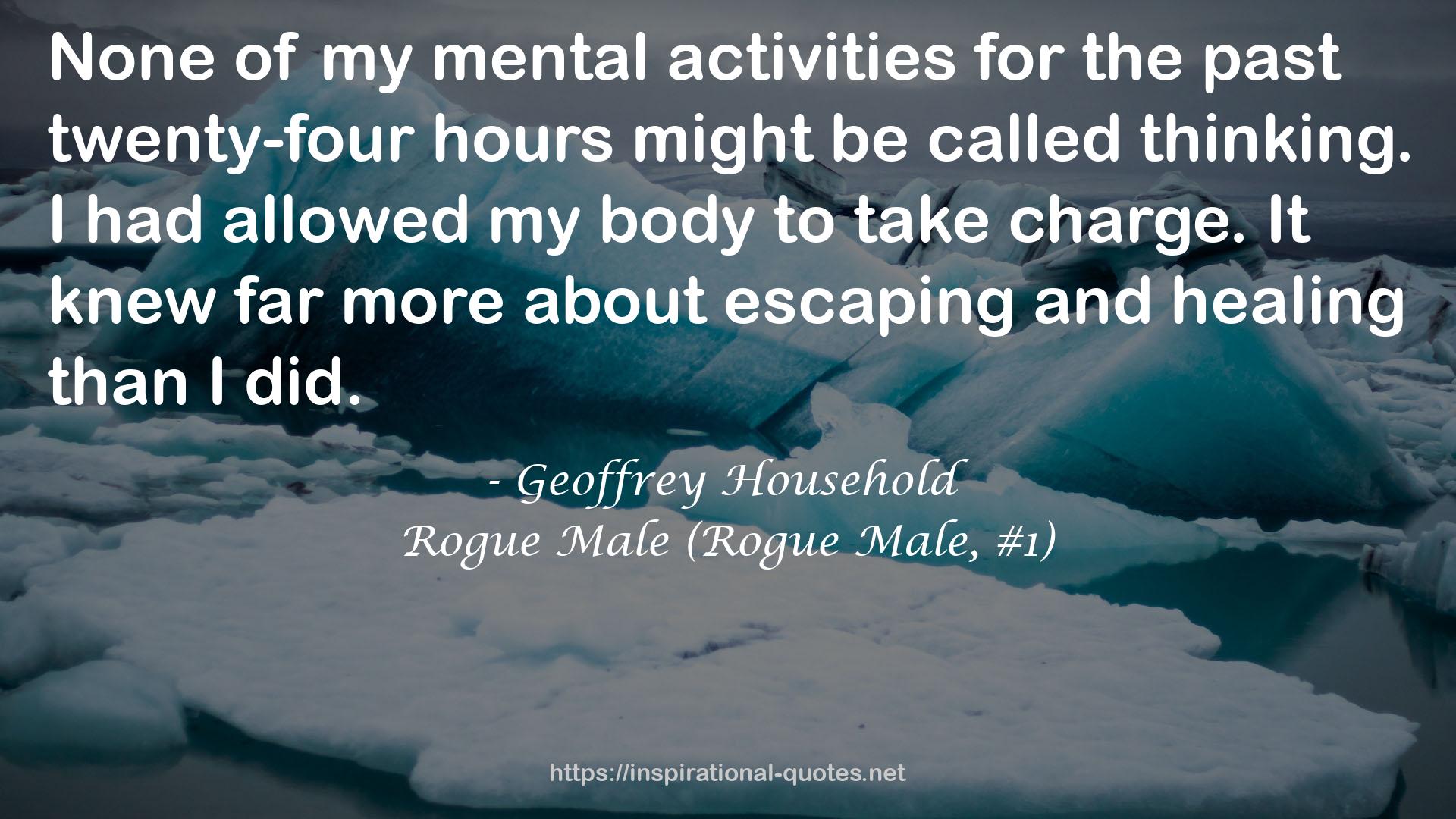 Rogue Male (Rogue Male, #1) QUOTES