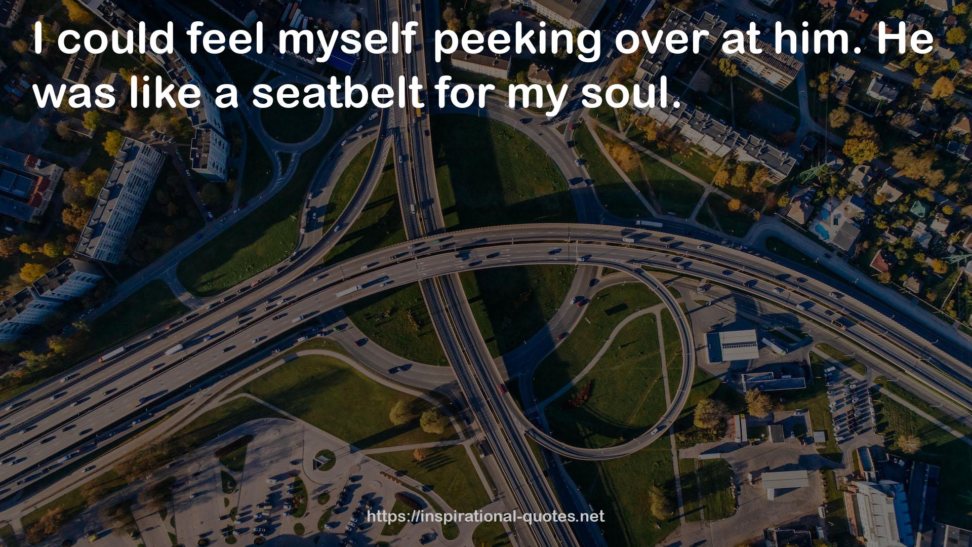 a seatbelt  QUOTES