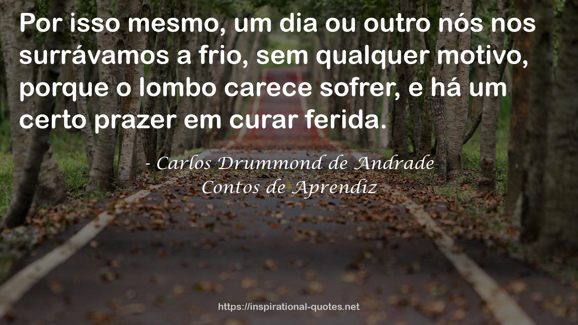 Contos de Aprendiz QUOTES