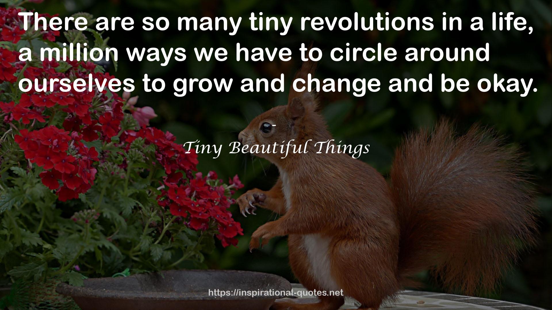 Tiny Beautiful Things QUOTES