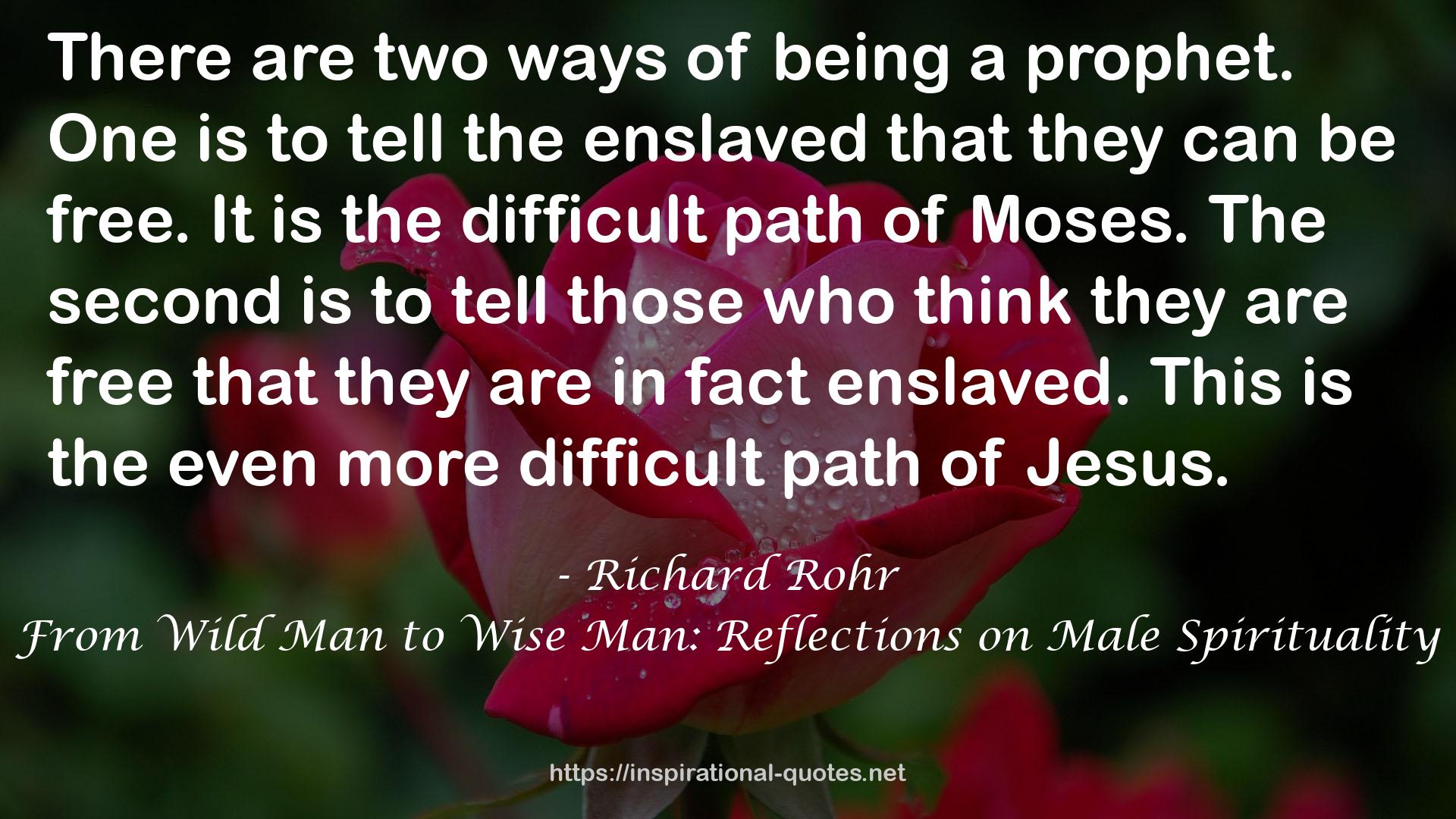 From Wild Man to Wise Man: Reflections on Male Spirituality QUOTES