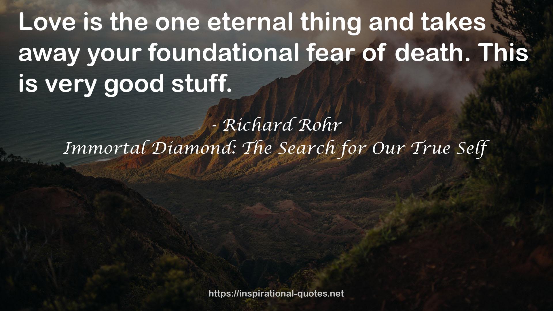 Immortal Diamond: The Search for Our True Self QUOTES