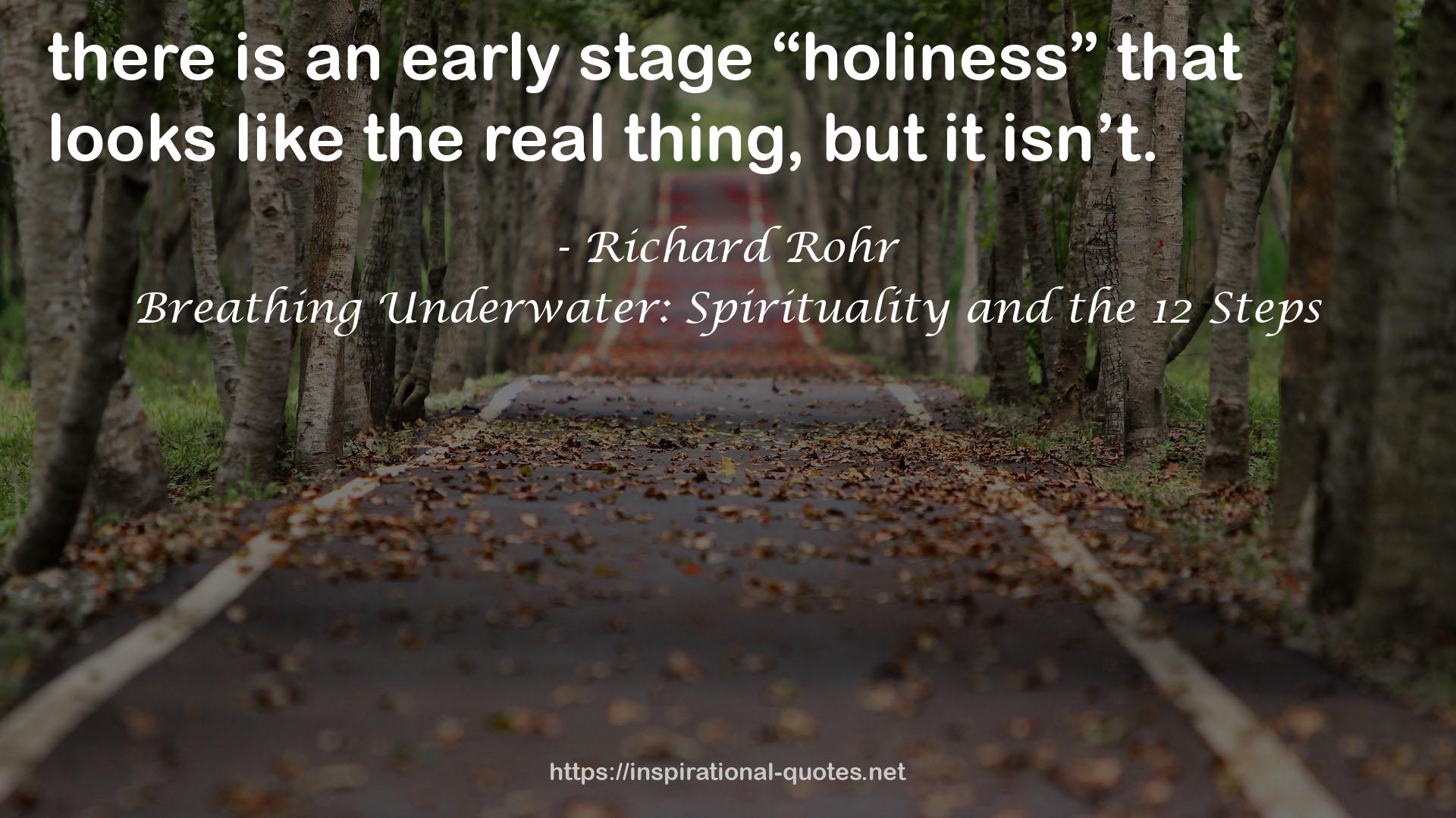 Breathing Underwater: Spirituality and the 12 Steps QUOTES