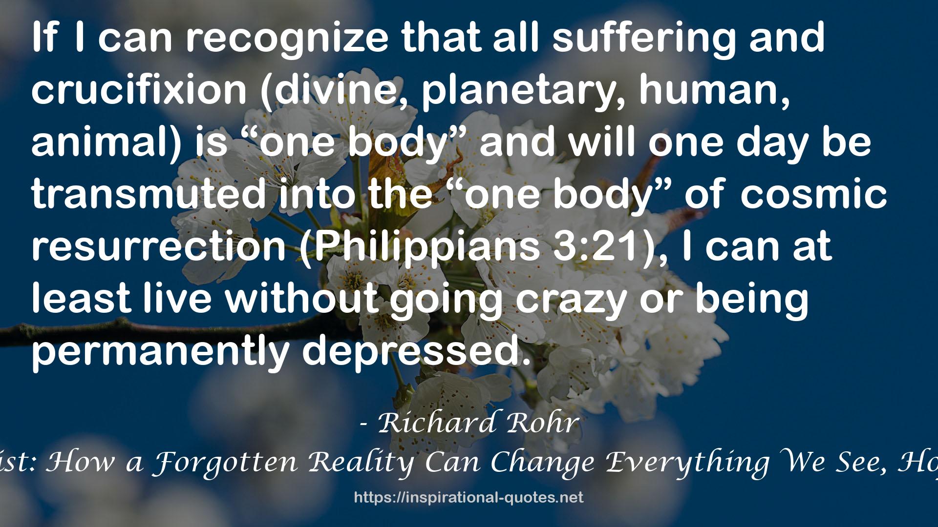 The Universal Christ: How a Forgotten Reality Can Change Everything We See, Hope For and Believe QUOTES