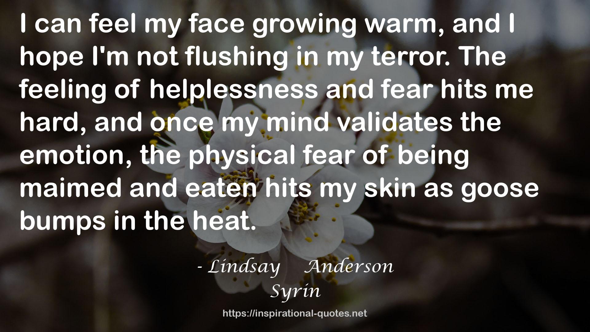 Lindsay    Anderson QUOTES