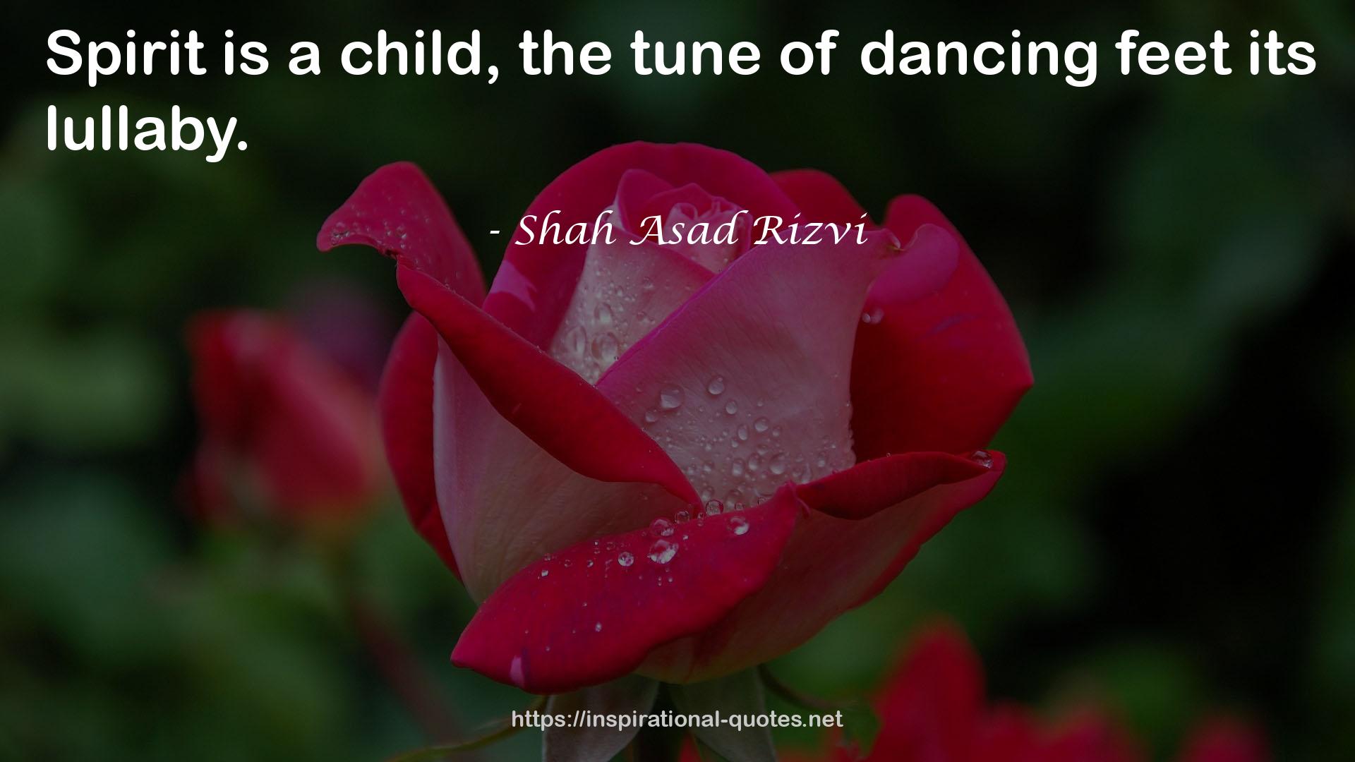 Shah Asad Rizvi QUOTES