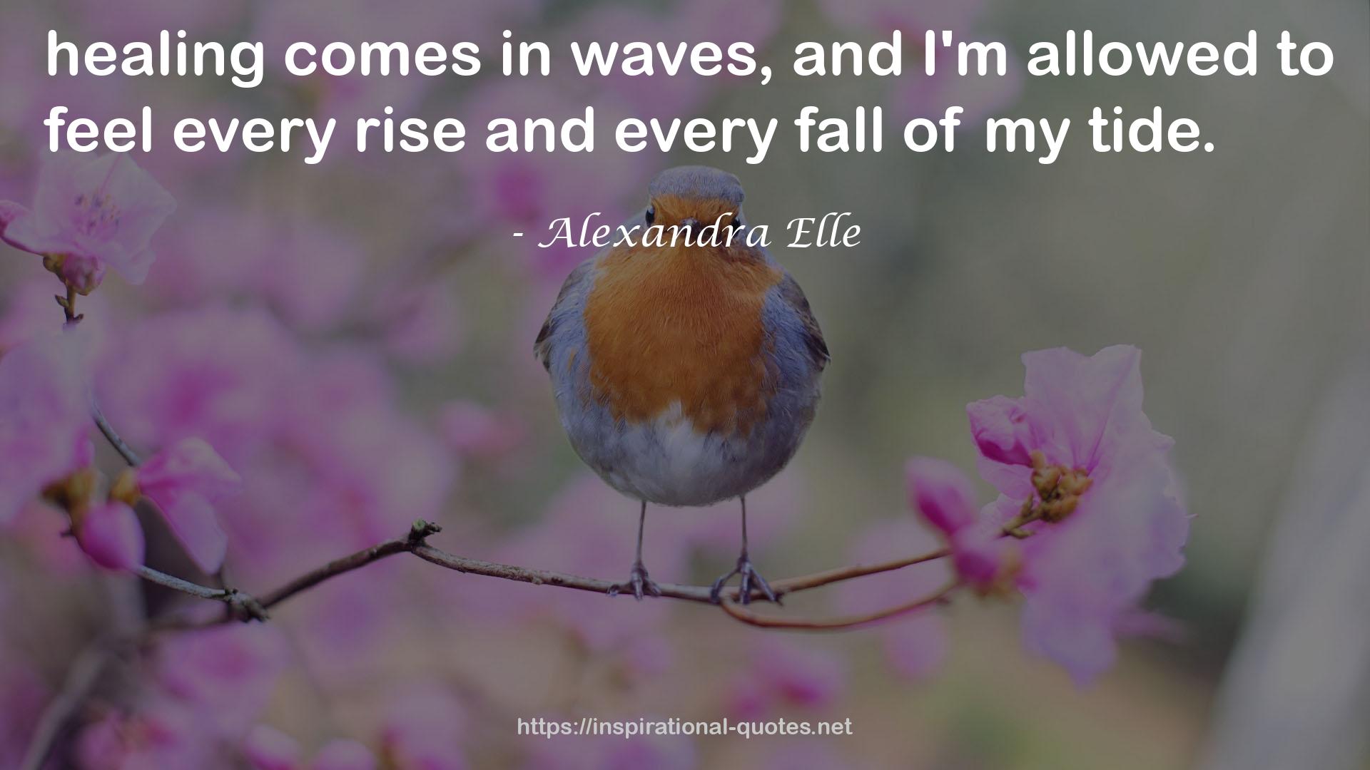 Alexandra Elle QUOTES