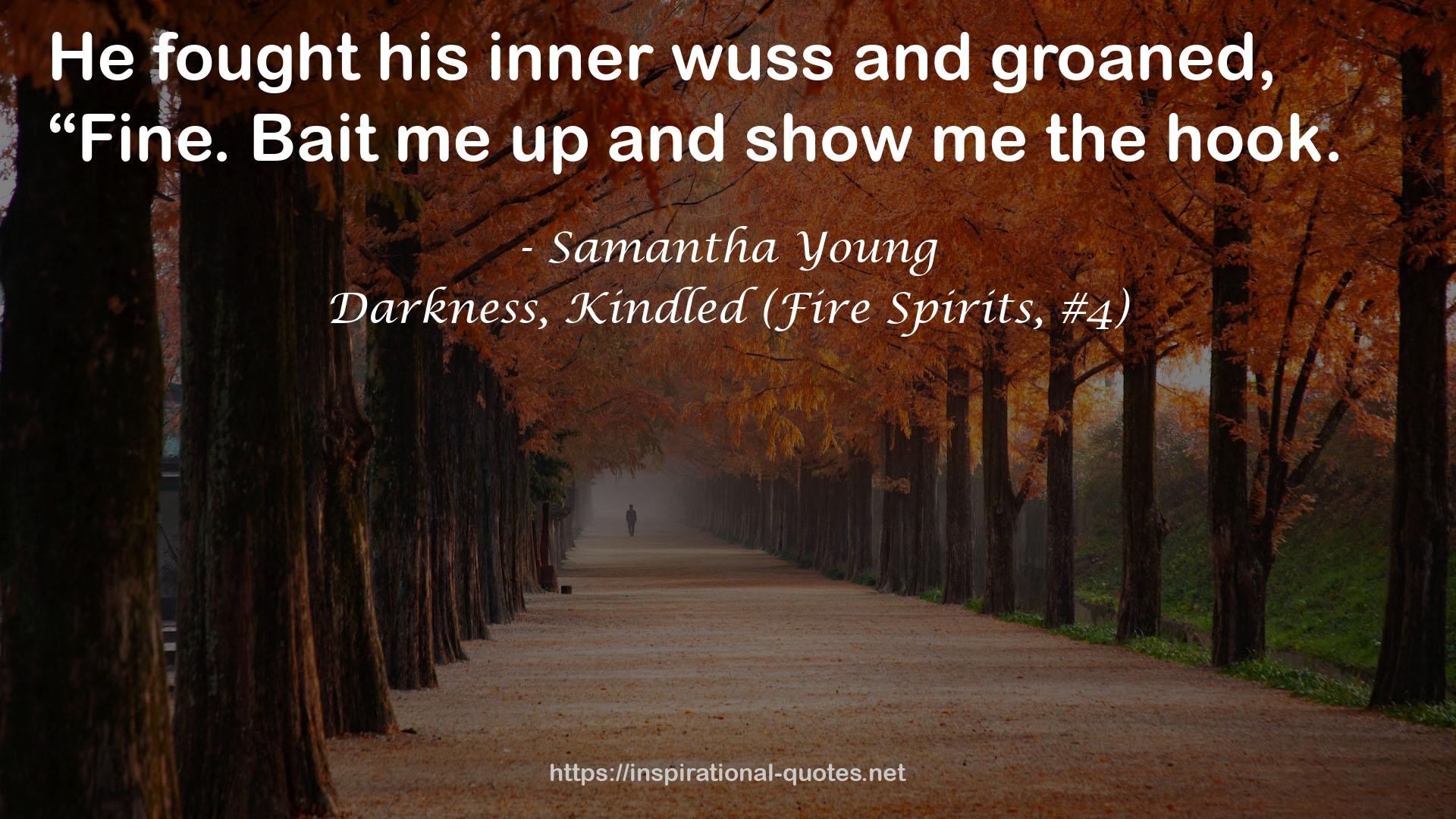 Darkness, Kindled (Fire Spirits, #4) QUOTES