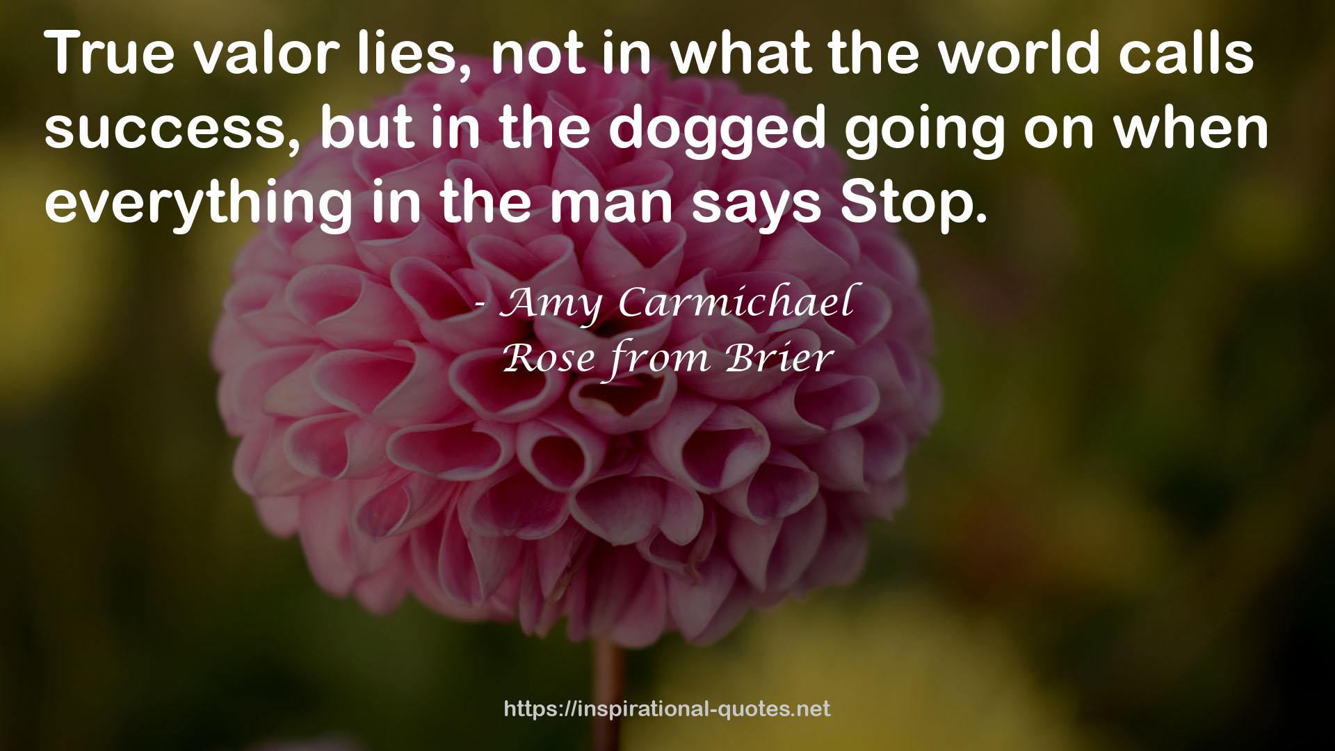Rose from Brier QUOTES