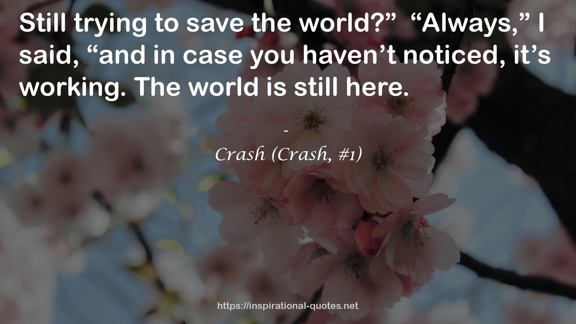 Crash (Crash, #1) QUOTES