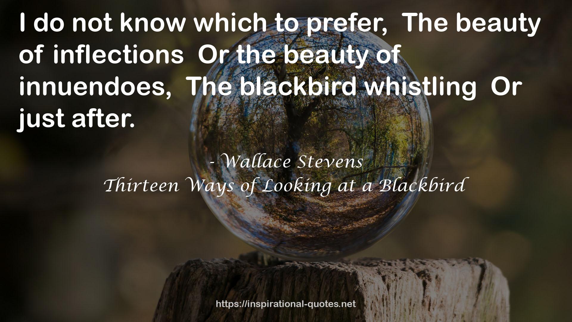 Thirteen Ways of Looking at a Blackbird QUOTES