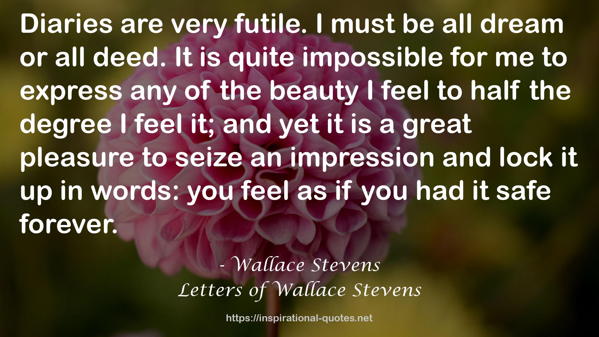 Letters of Wallace Stevens QUOTES