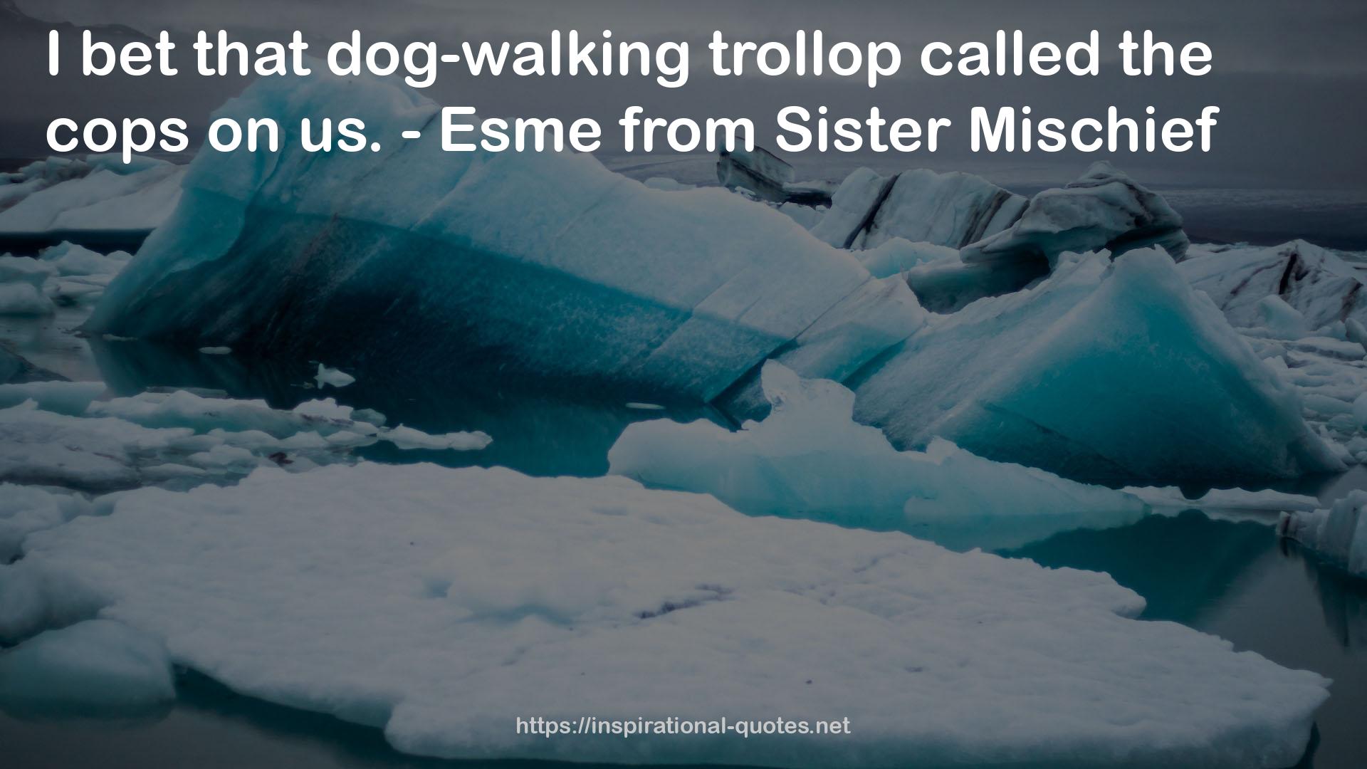 dog-walking trollop  QUOTES