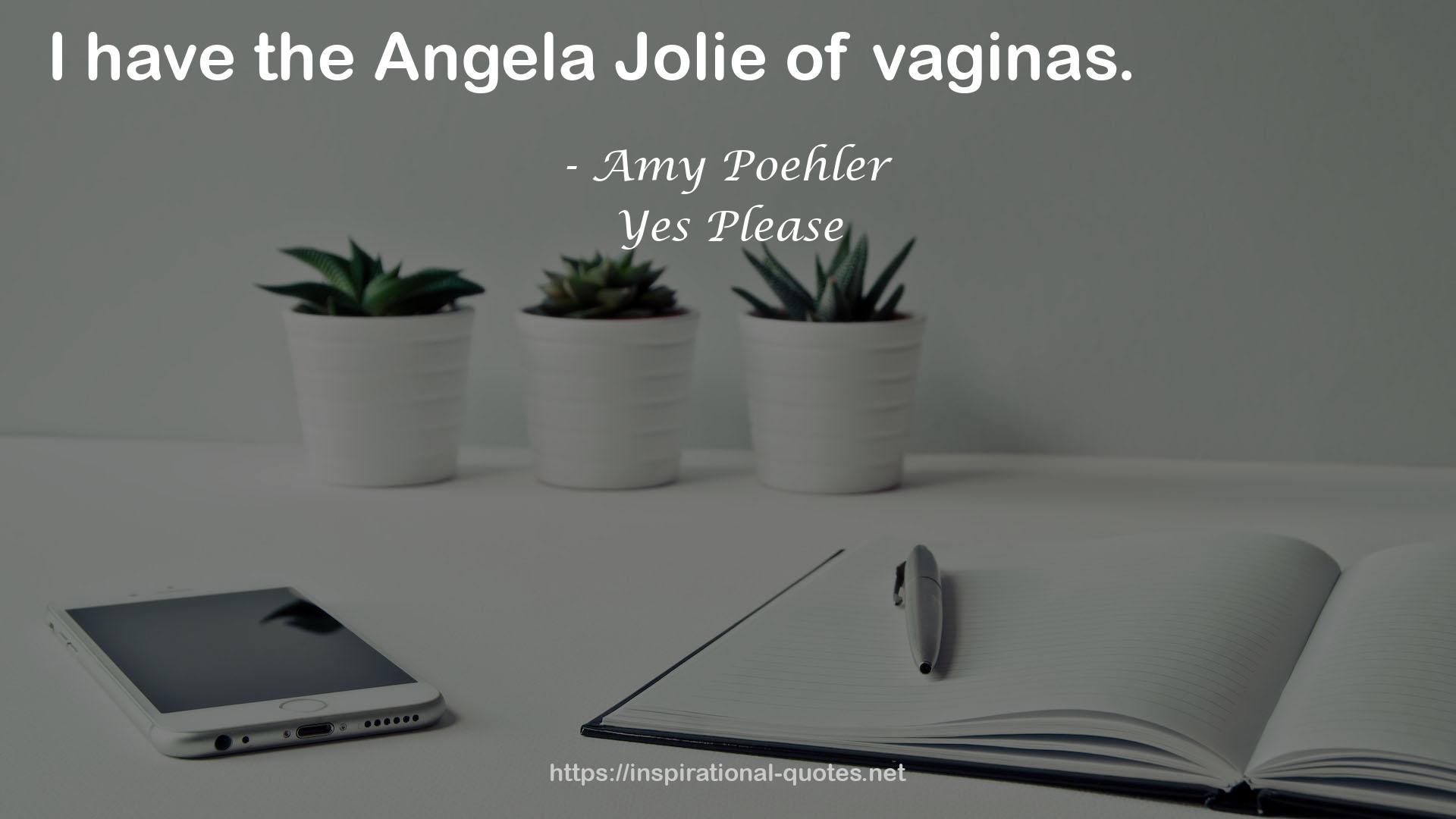 the Angela Jolie  QUOTES
