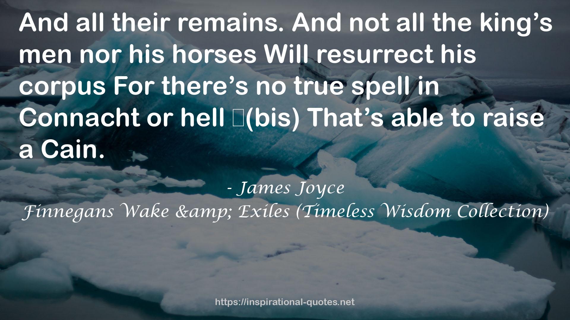 Finnegans Wake & Exiles (Timeless Wisdom Collection) QUOTES
