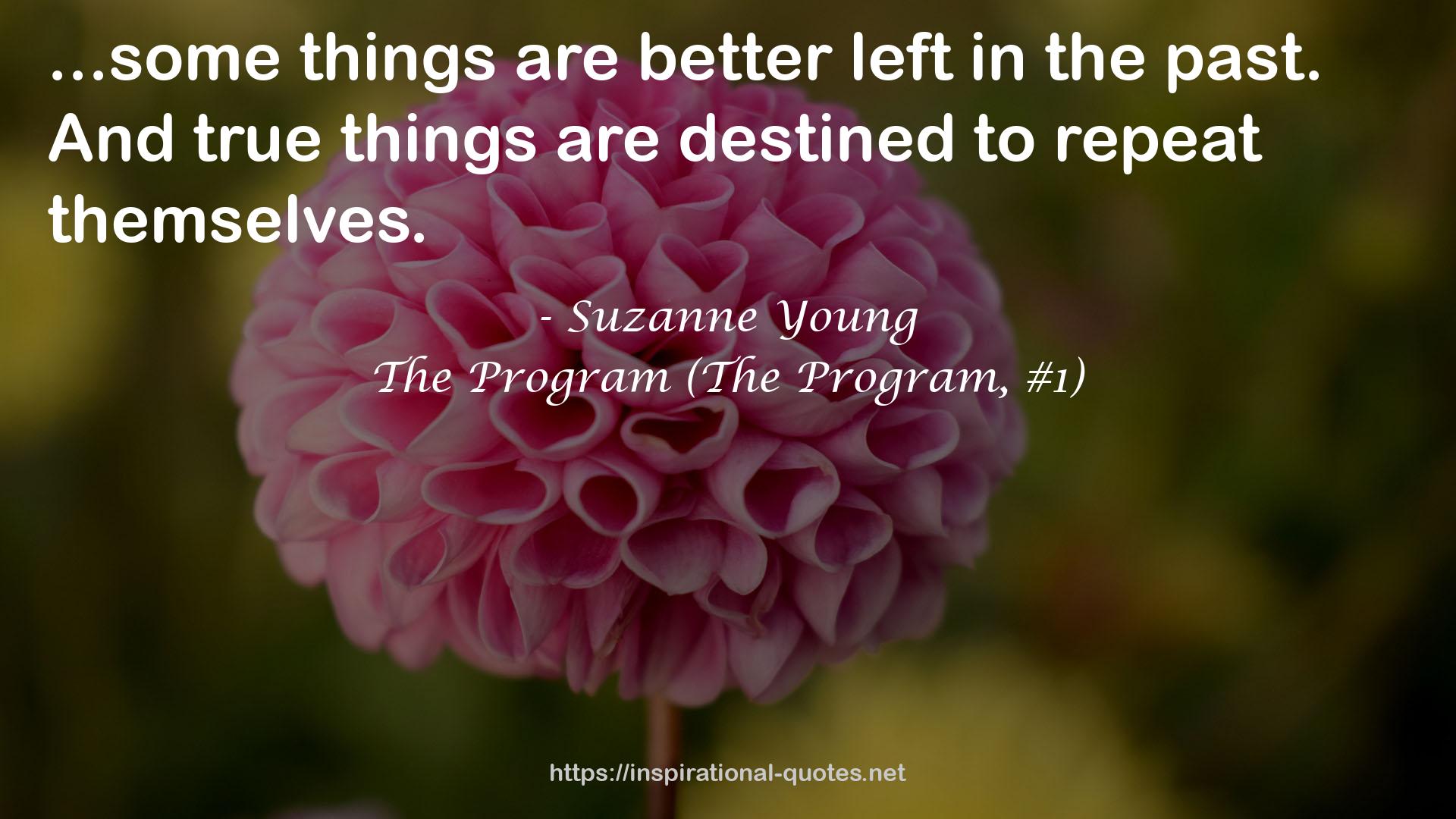 Suzanne Young QUOTES