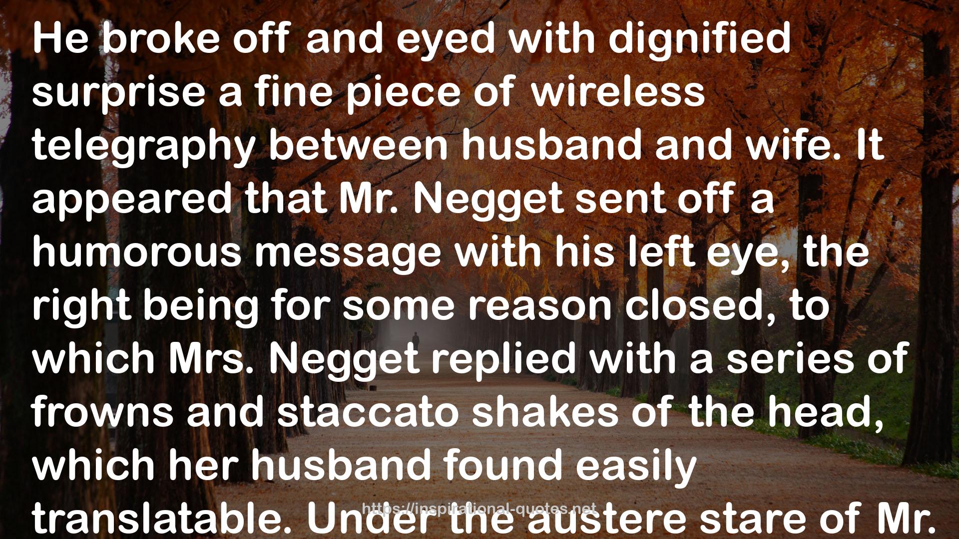 Negget  QUOTES