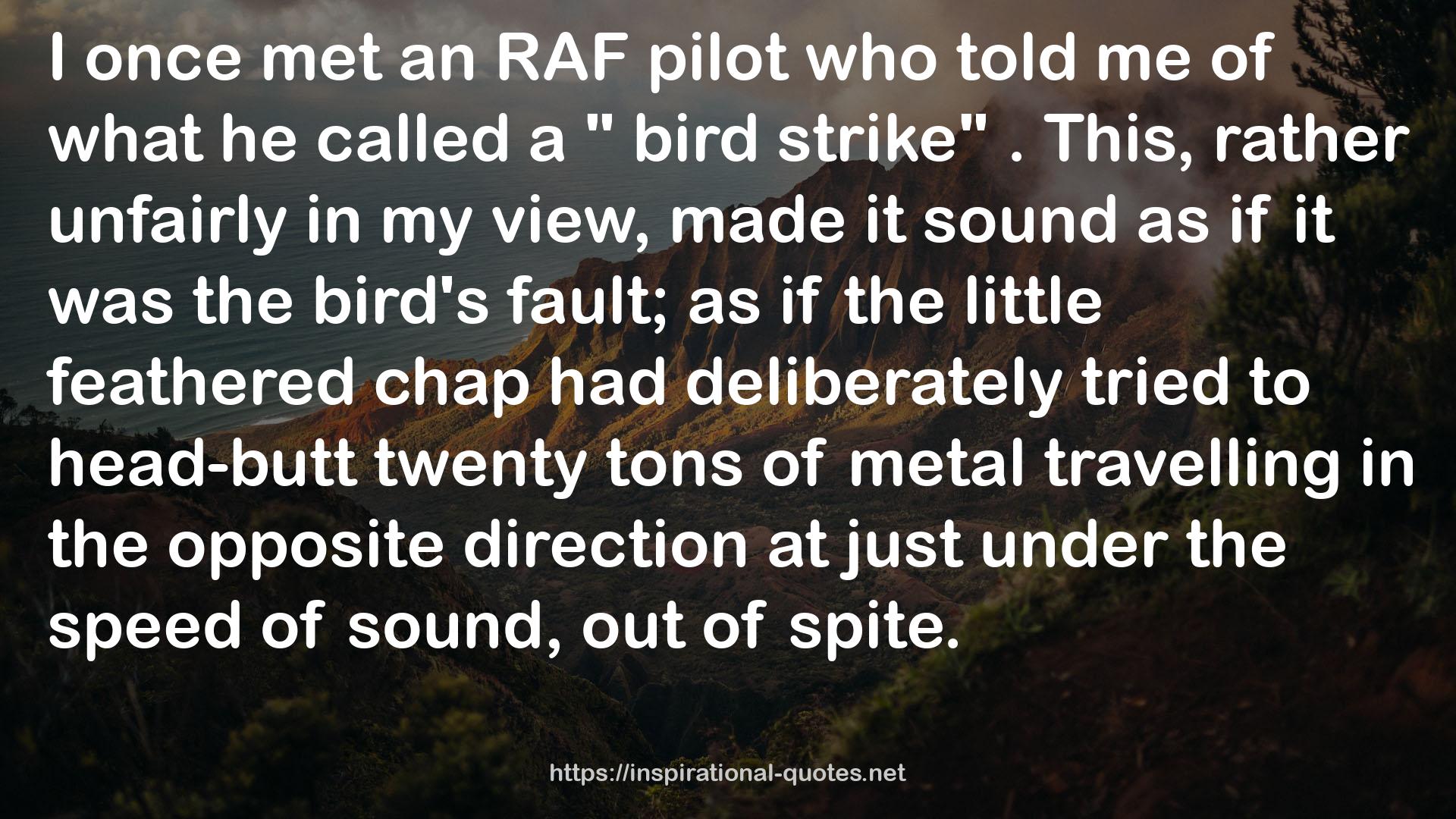an RAF pilot  QUOTES