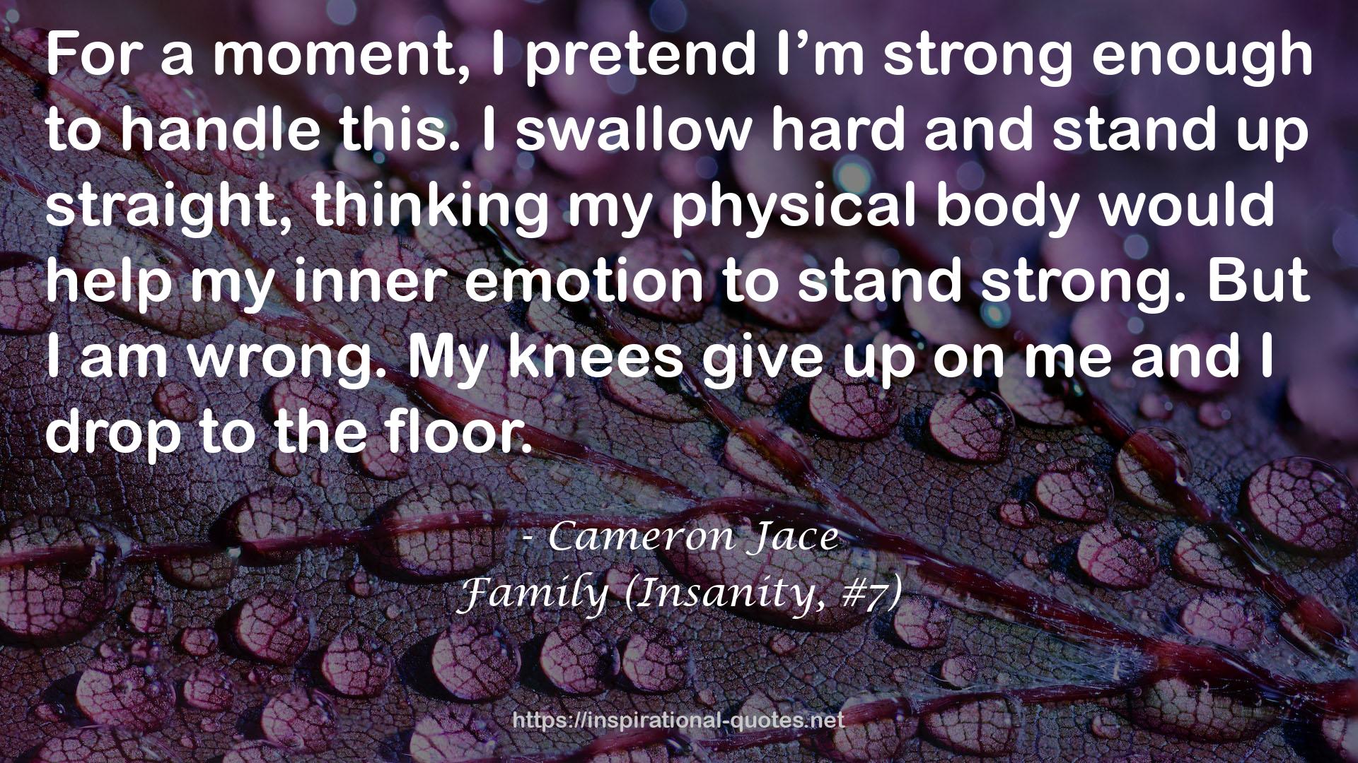 Family (Insanity, #7) QUOTES