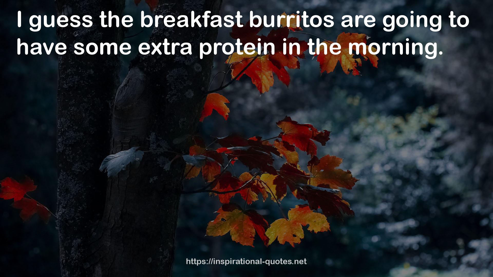 burritos  QUOTES