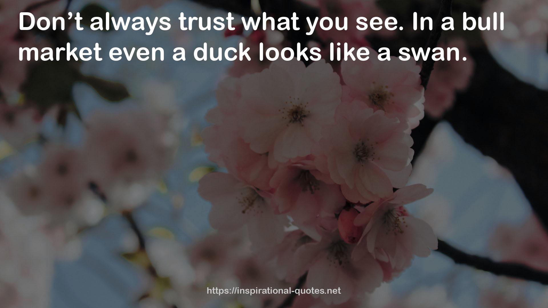 even a duck  QUOTES