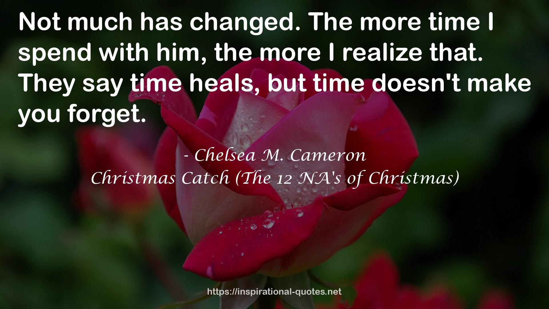 Christmas Catch (The 12 NA's of Christmas) QUOTES