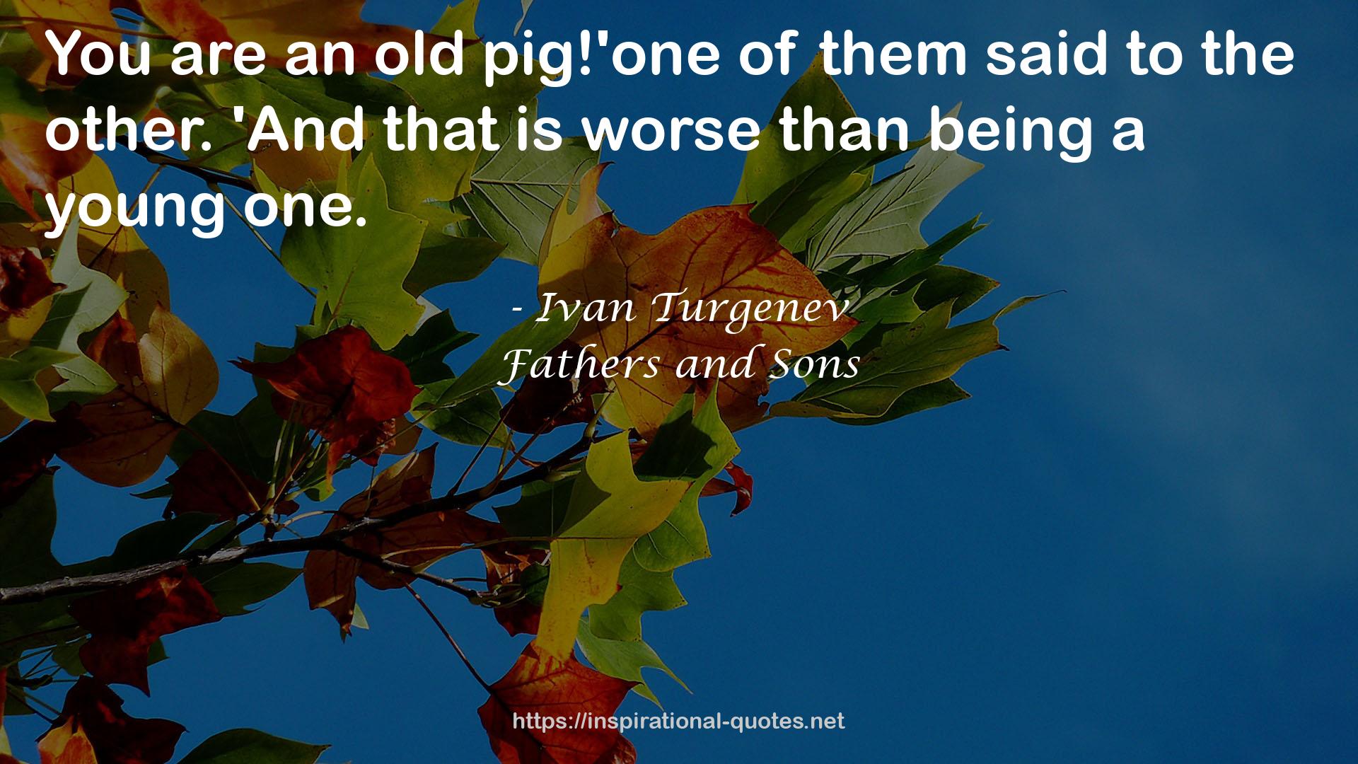an old pig!'one  QUOTES