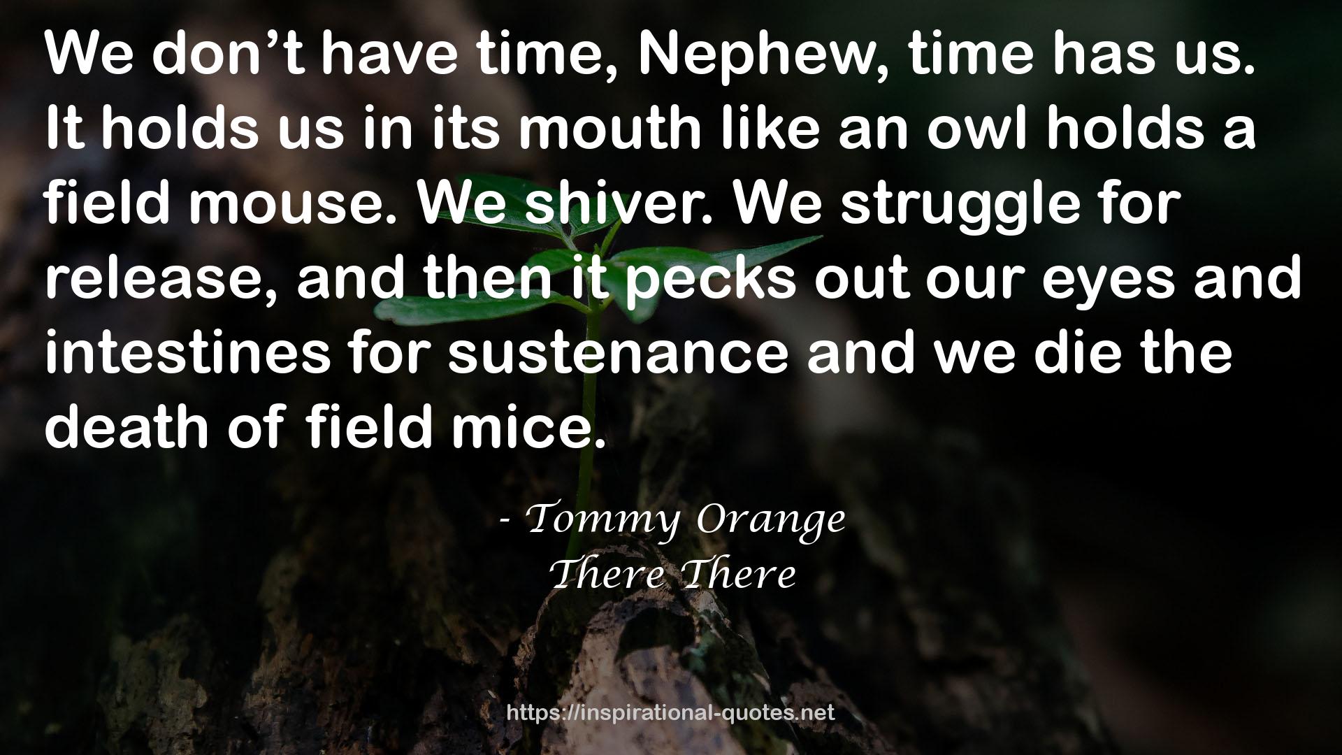 Tommy Orange QUOTES