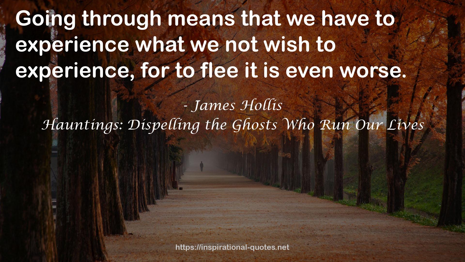 James Hollis QUOTES