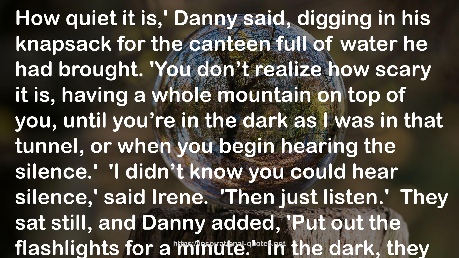 Danny Dunn and the Fossil Cave (Danny Dunn, #6) QUOTES