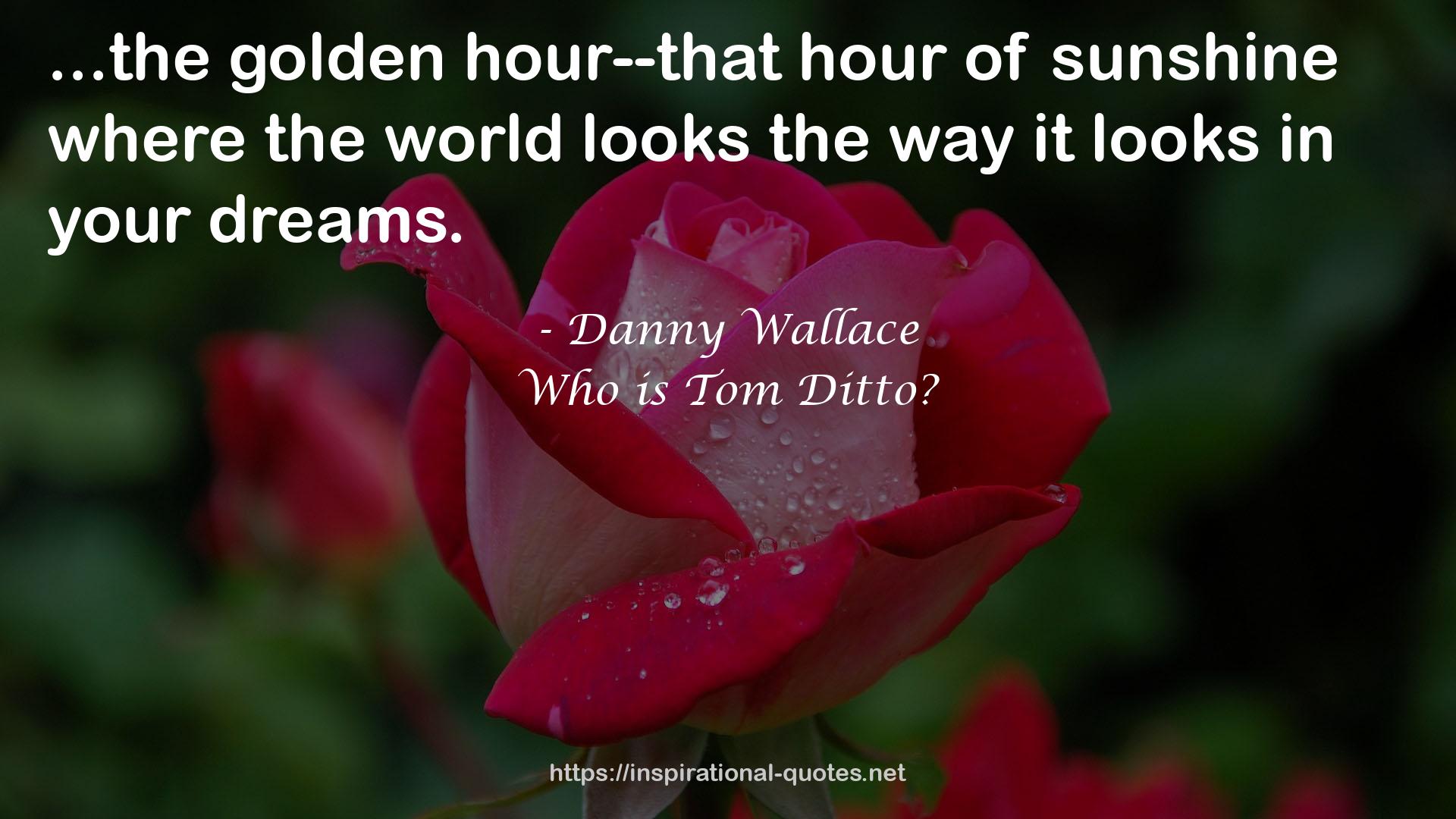 Who is Tom Ditto? QUOTES