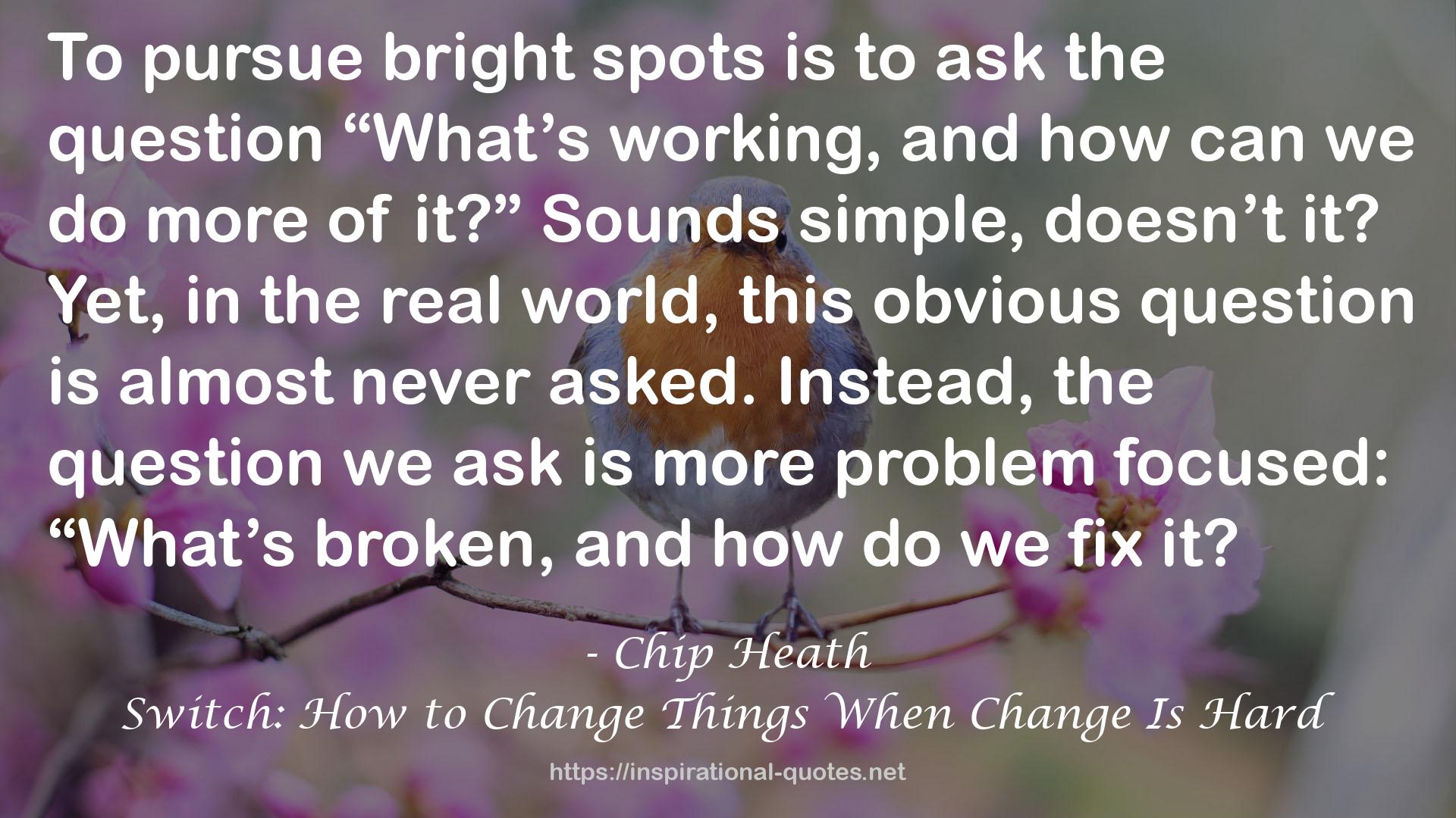 Switch: How to Change Things When Change Is Hard QUOTES