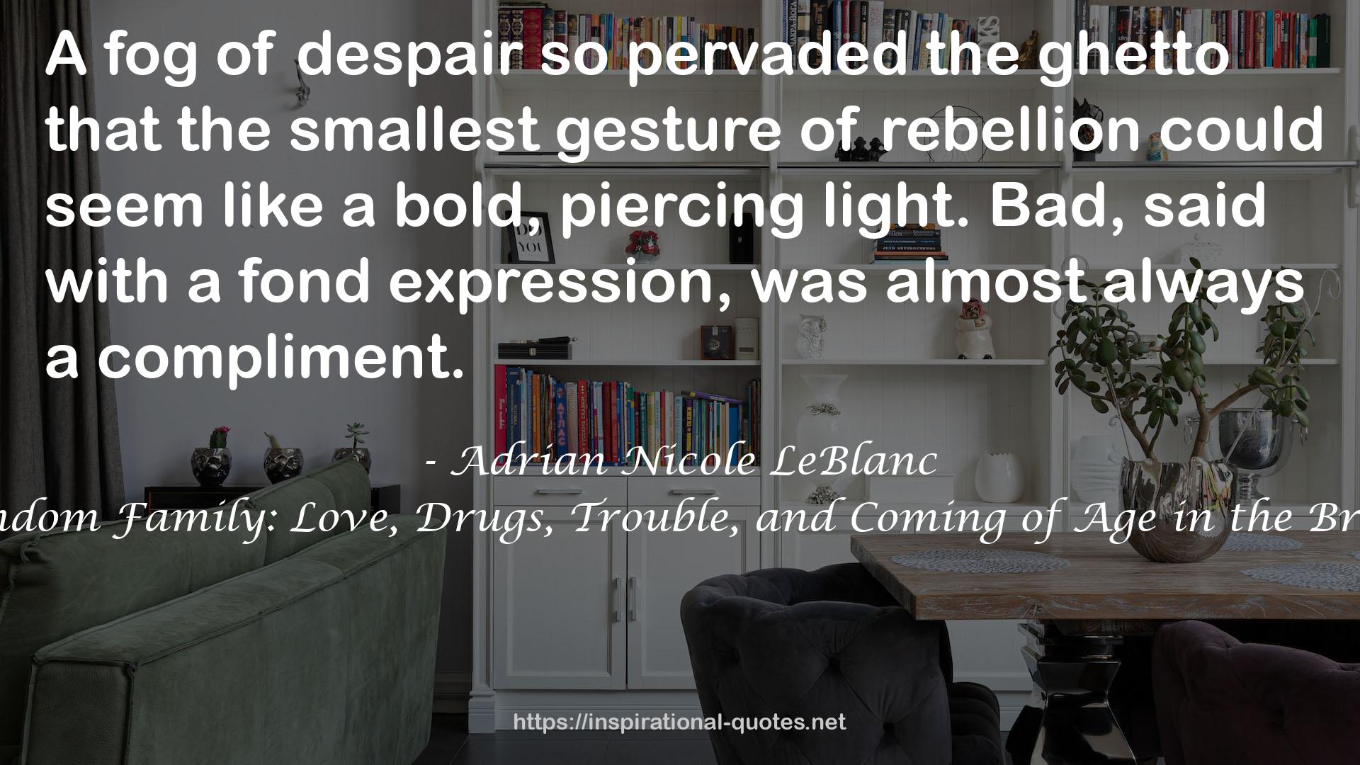 Adrian Nicole LeBlanc QUOTES