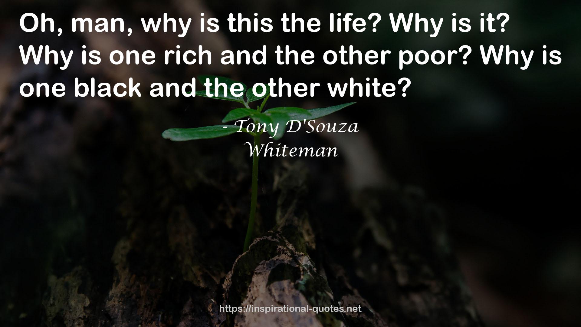 Tony D'Souza QUOTES