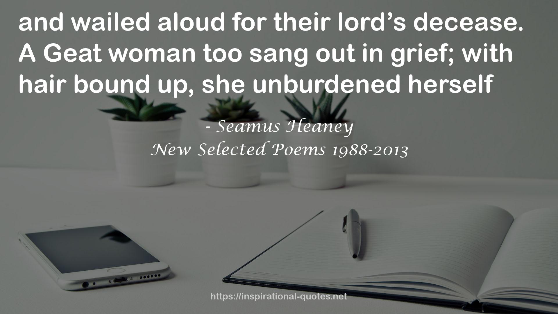 New Selected Poems 1988-2013 QUOTES
