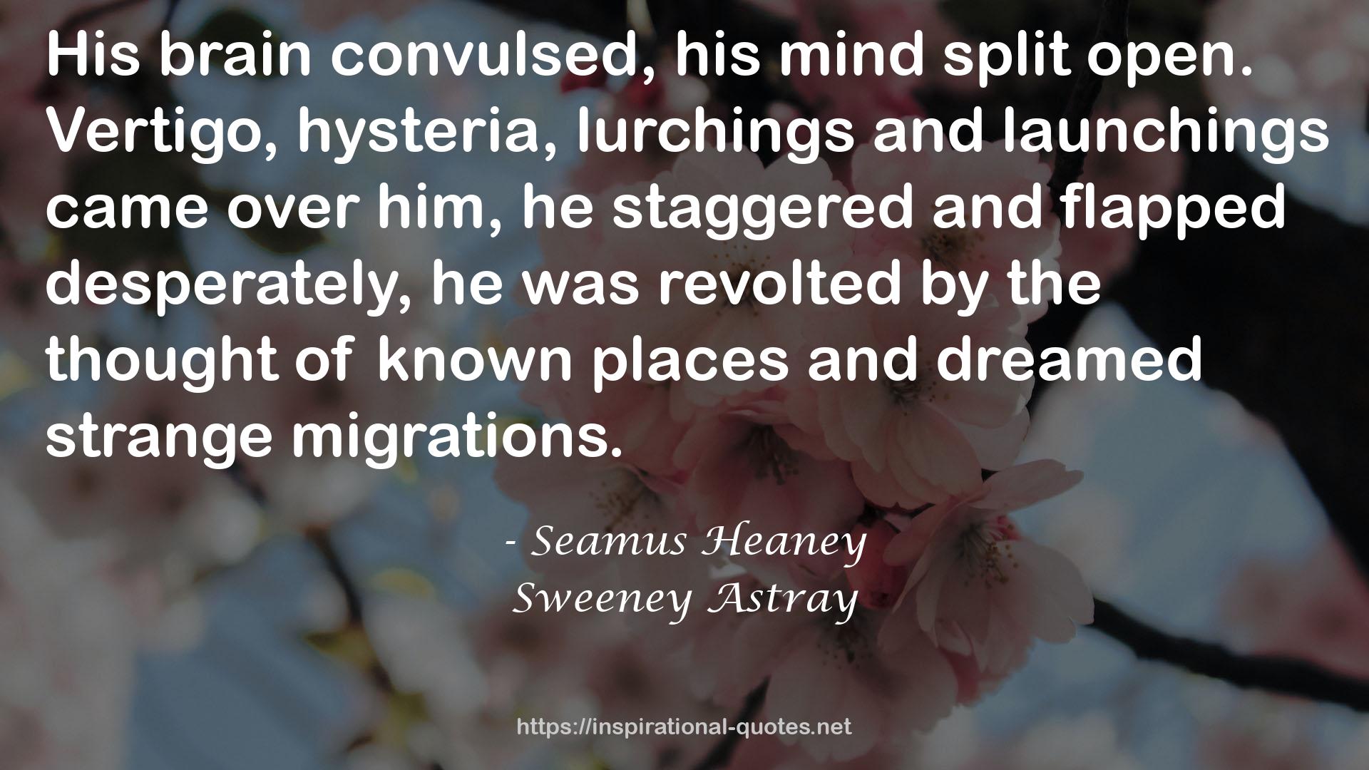 Sweeney Astray QUOTES