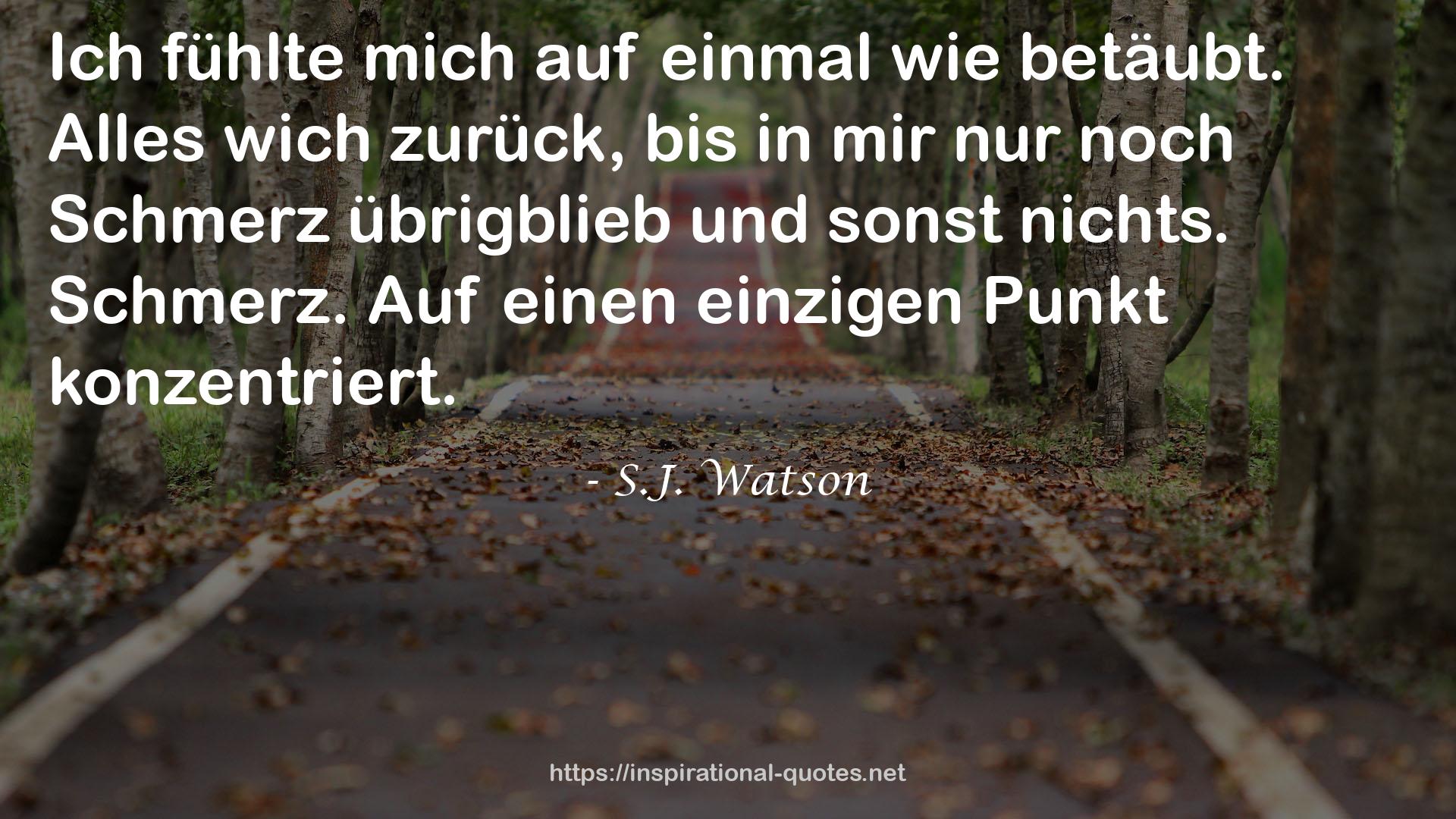 S.J. Watson QUOTES