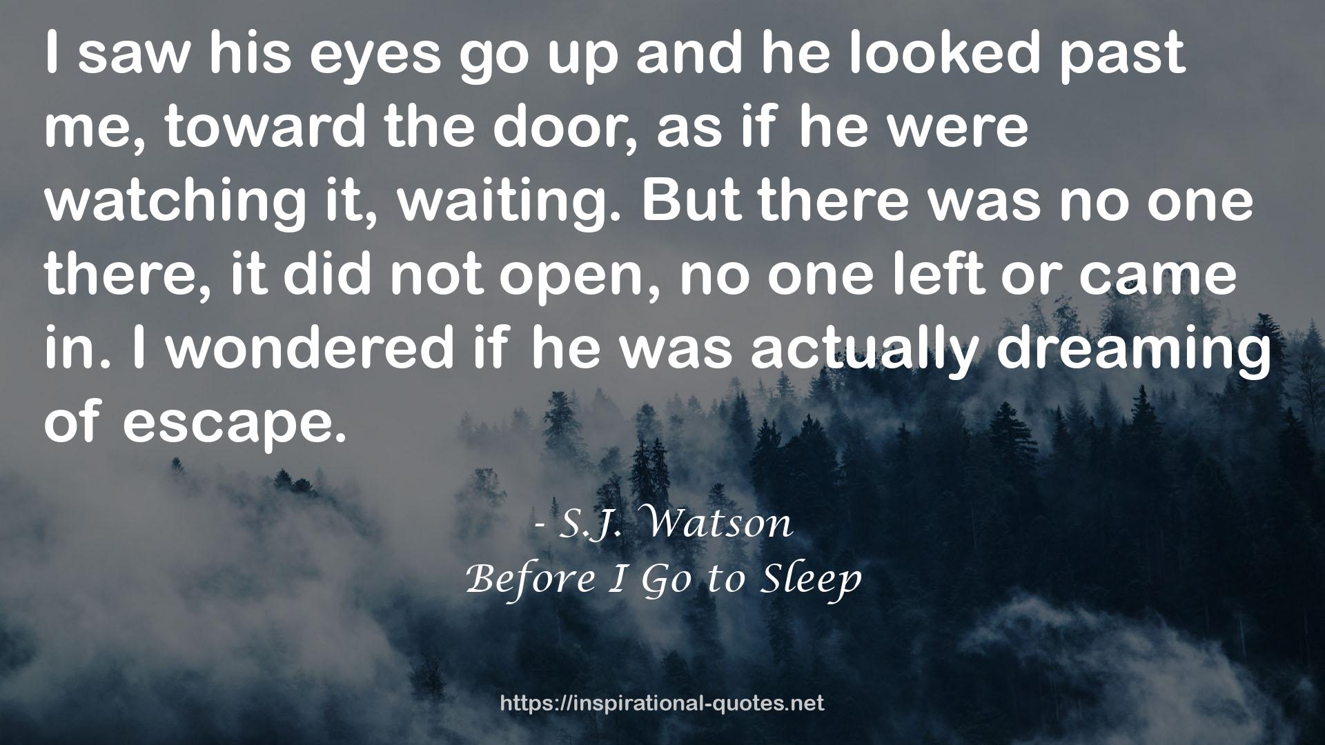 S.J. Watson QUOTES